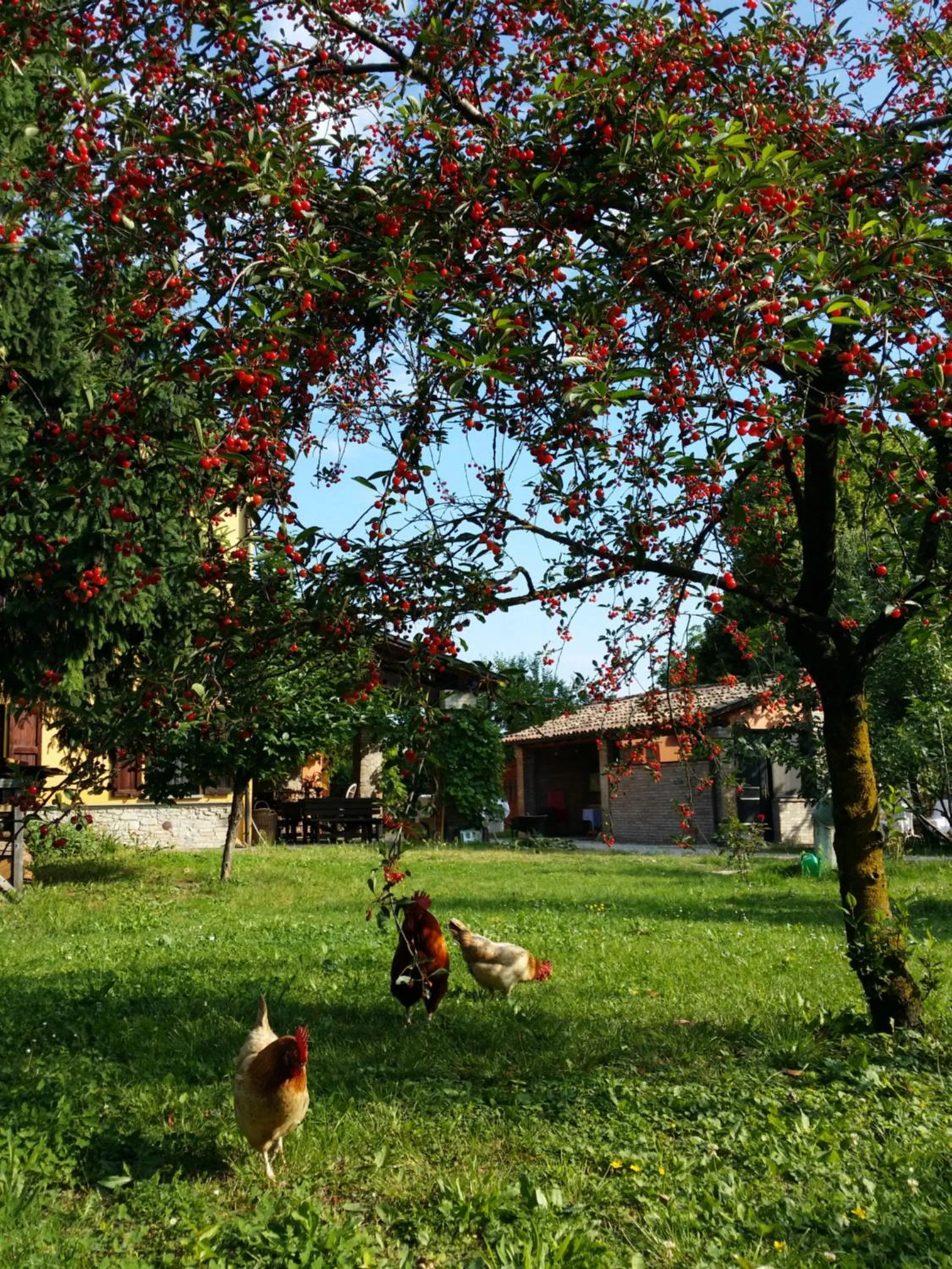 Property building in R&B Albero Cavo Parma