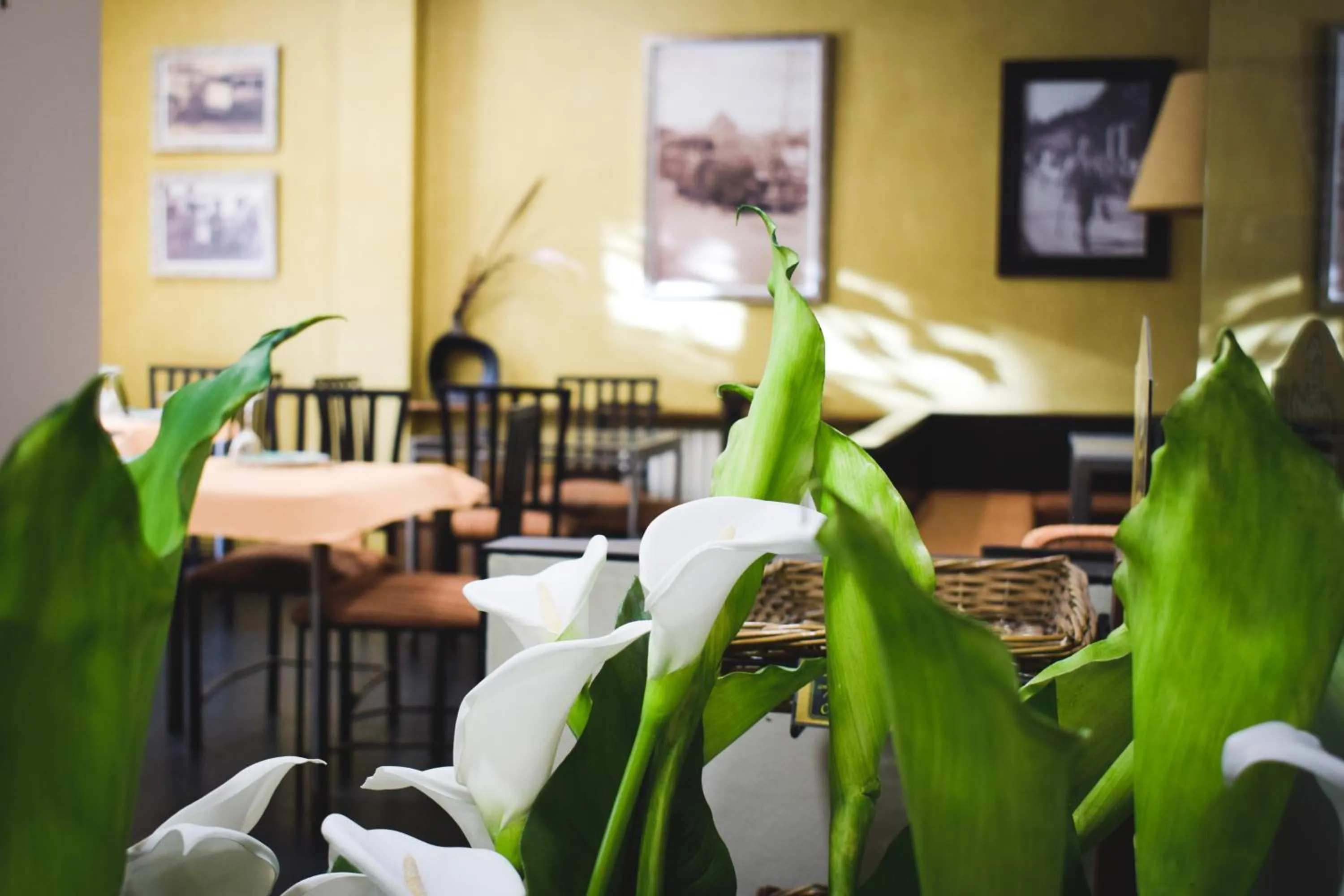 Dining area in Hotel Casa El Rapido