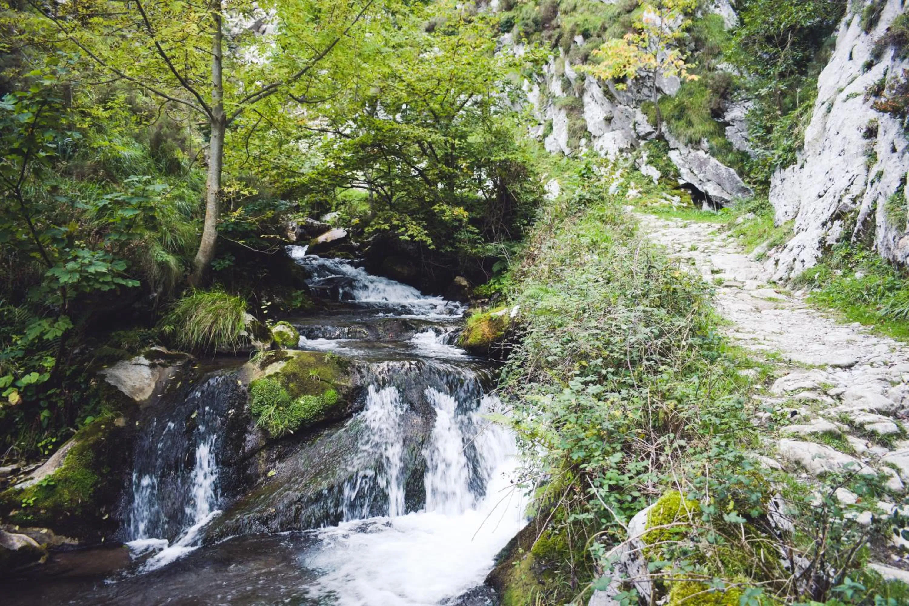 Hiking in Hotel Casa El Rapido