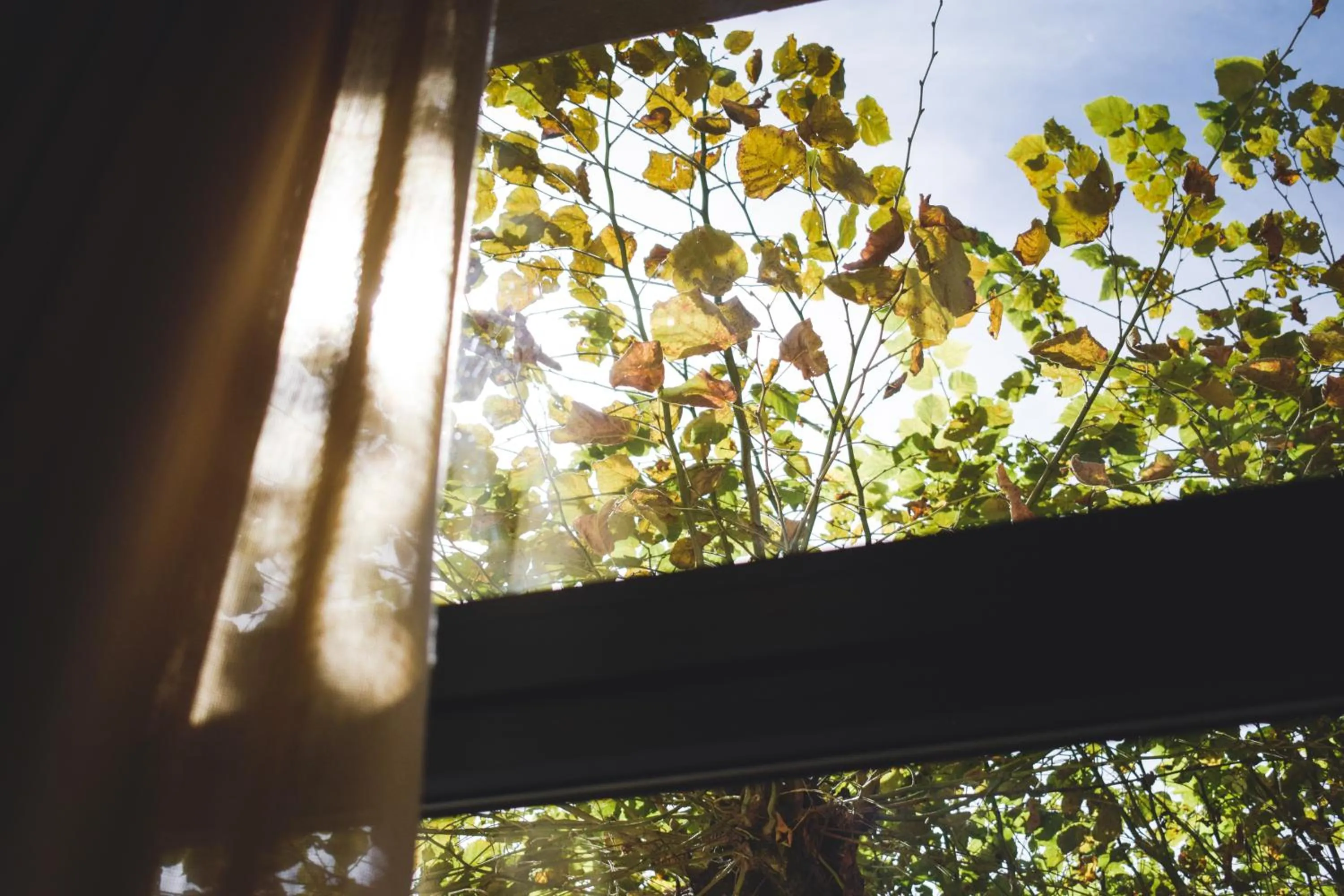 Autumn in Hotel Casa El Rapido
