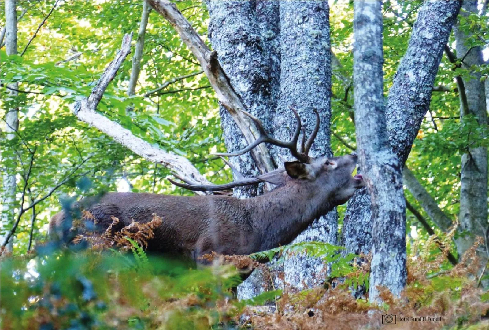 Hotel Casa El Rapido
