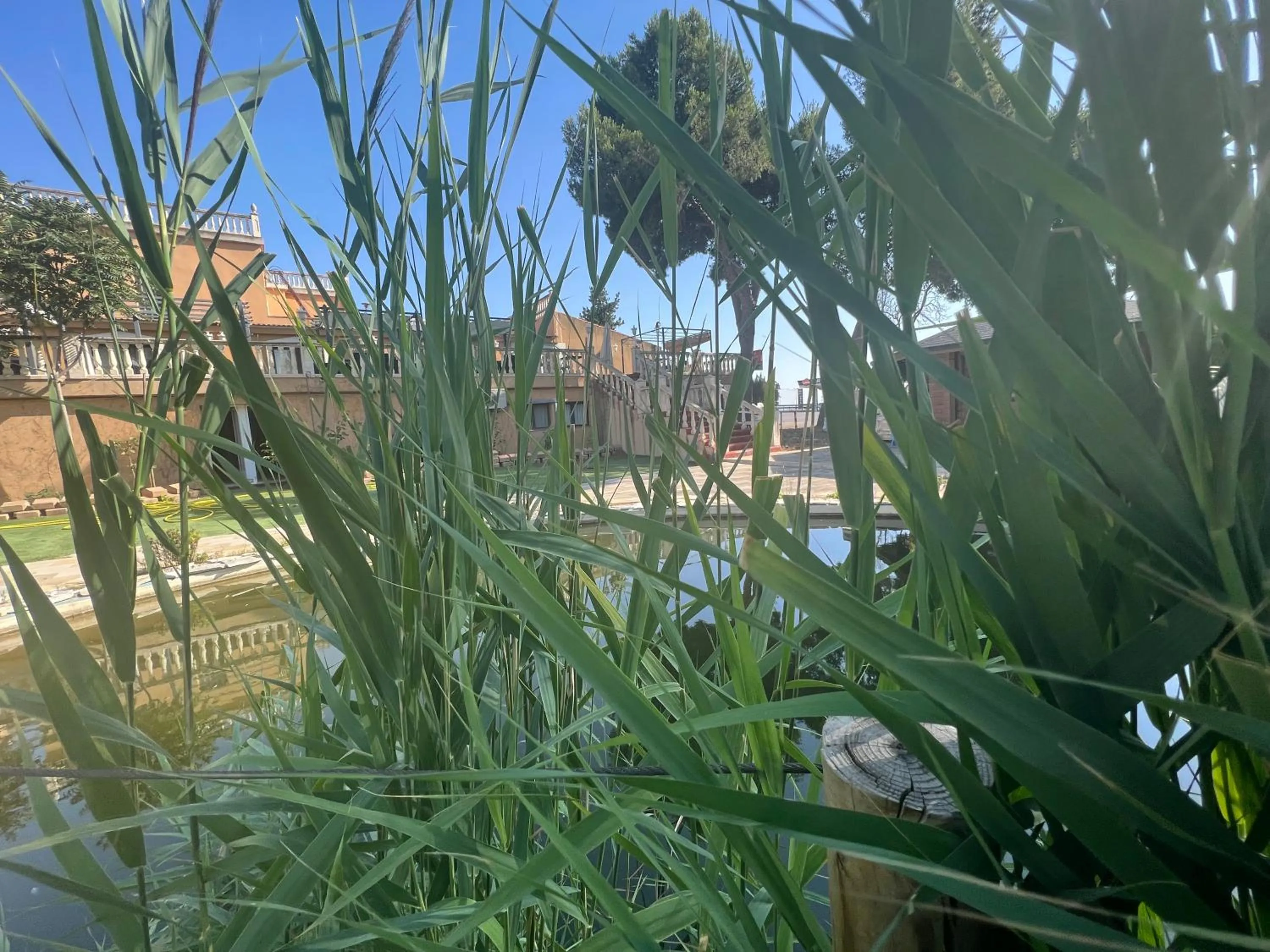 Garden in Hotel El Cisne