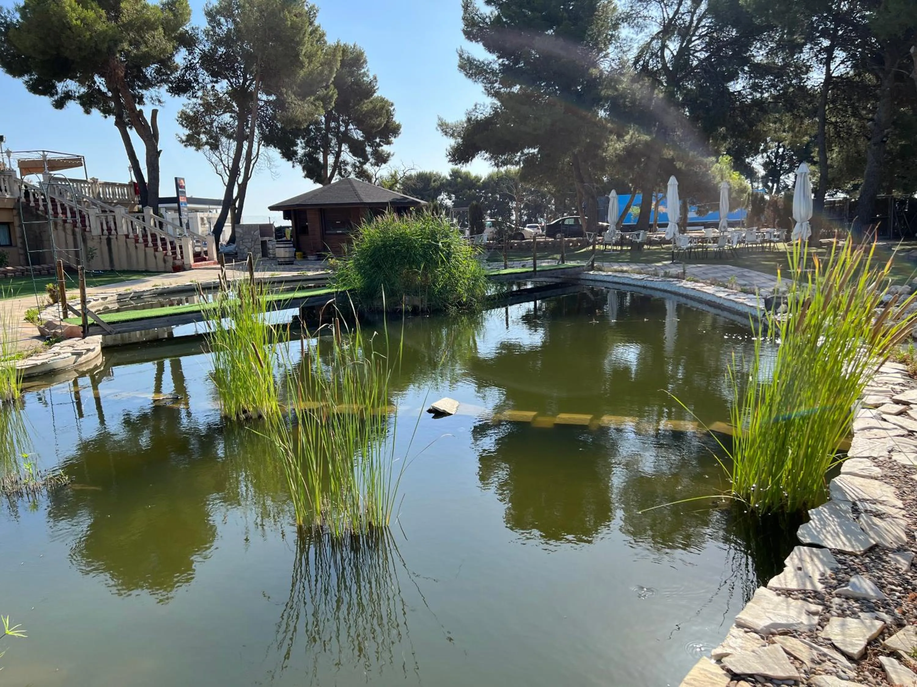 Garden in Hotel El Cisne