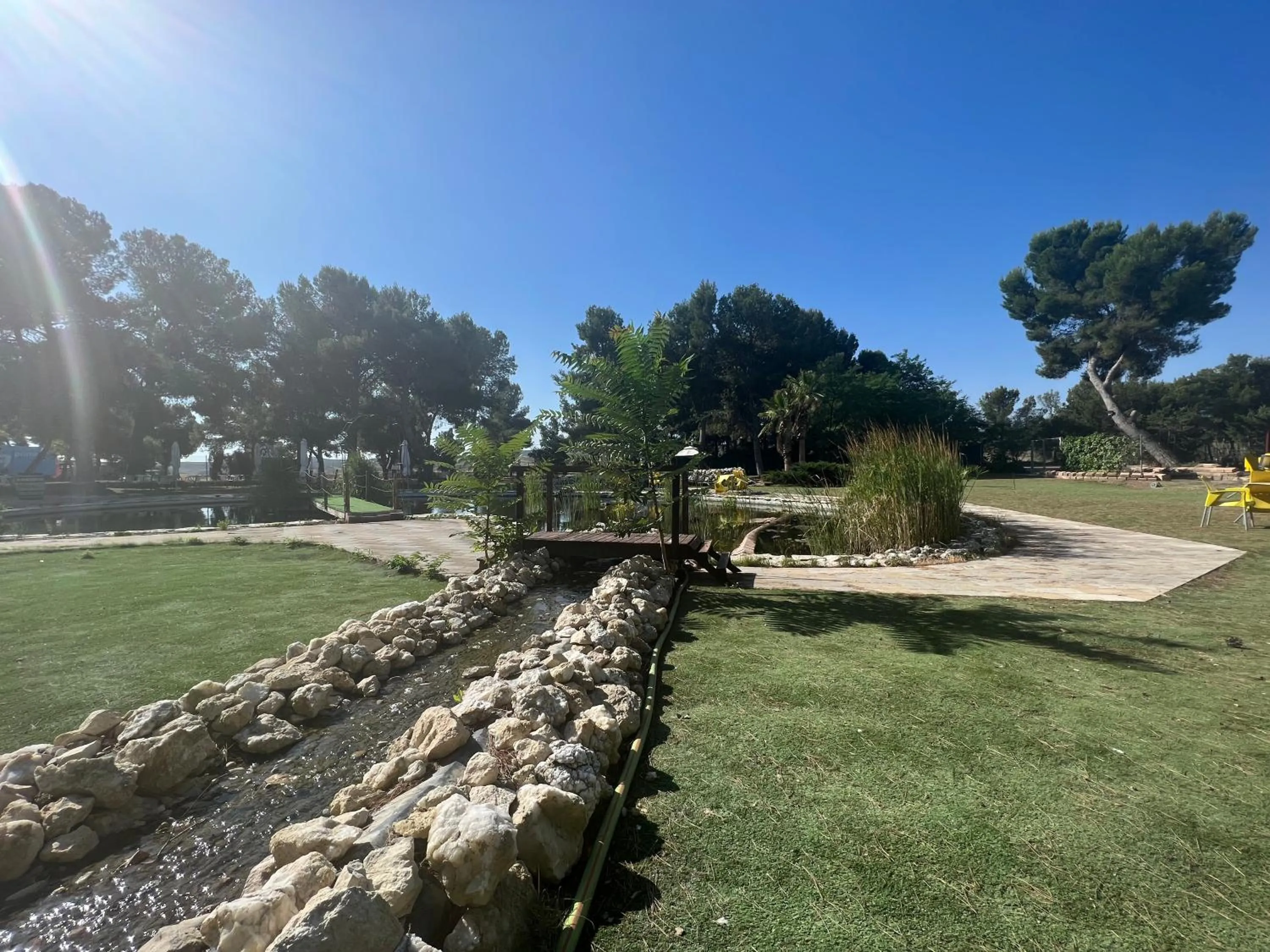 Garden in Hotel El Cisne