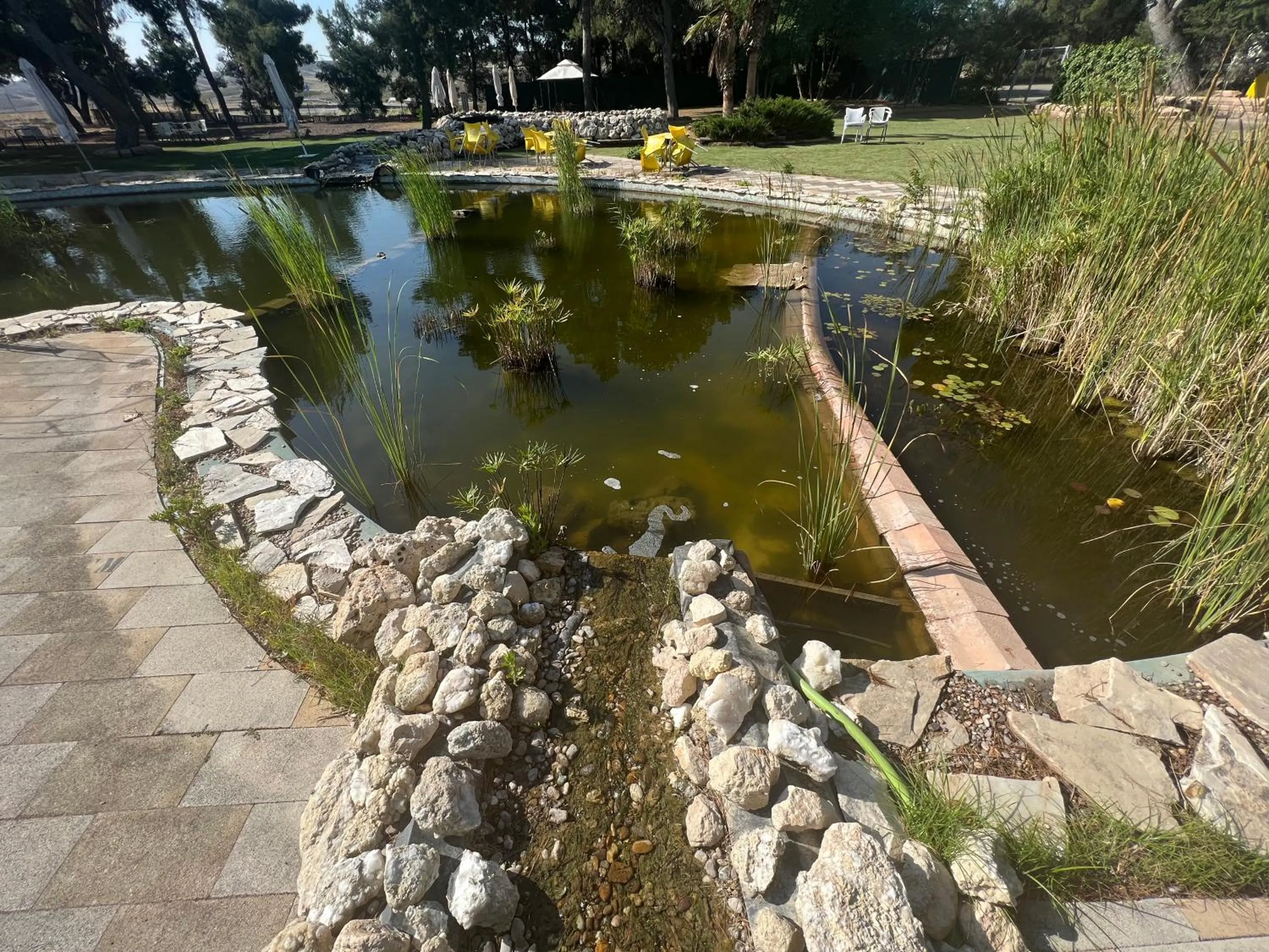 Lake view in Hotel El Cisne