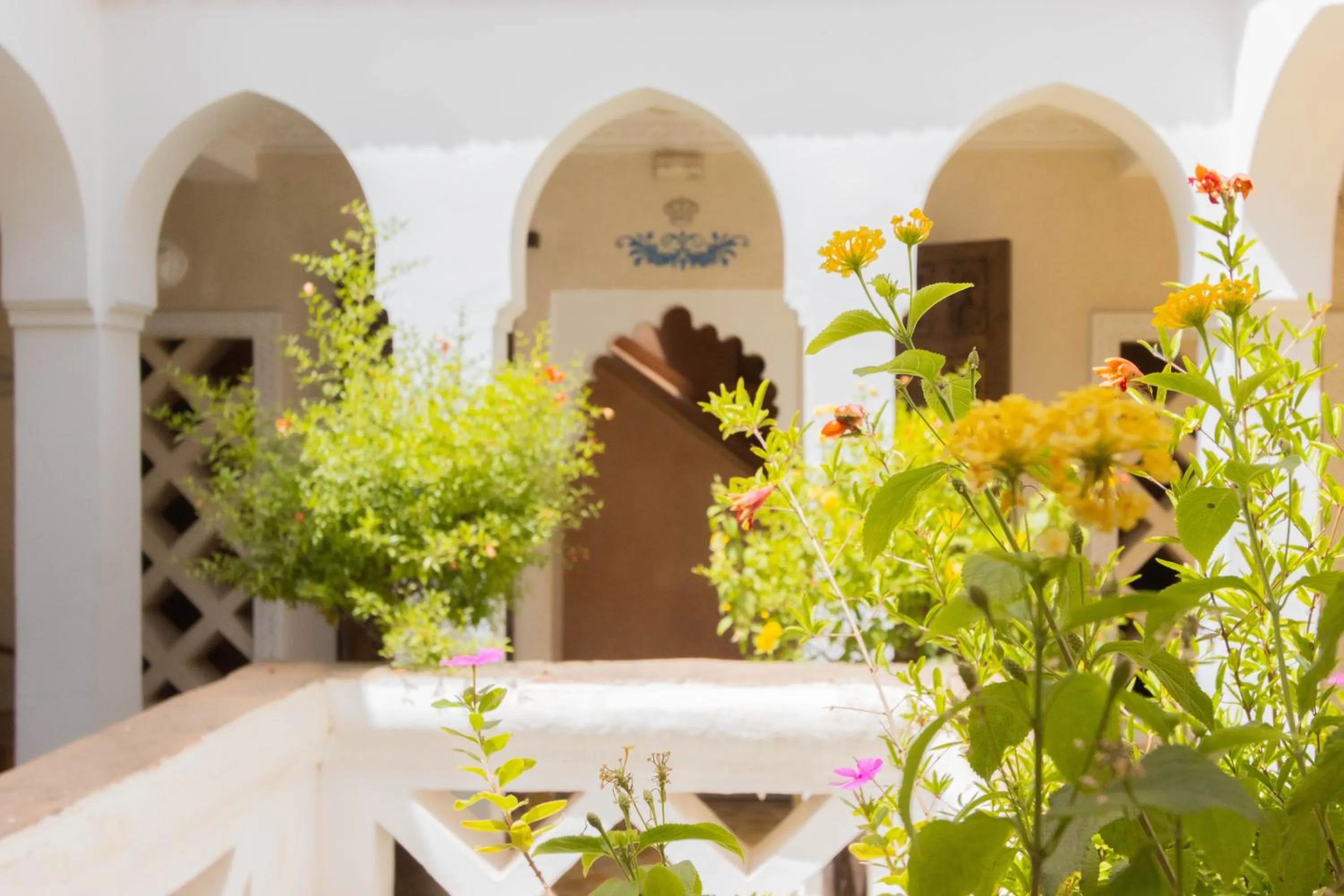Garden view in Riad Palais Des Princesses & Spa