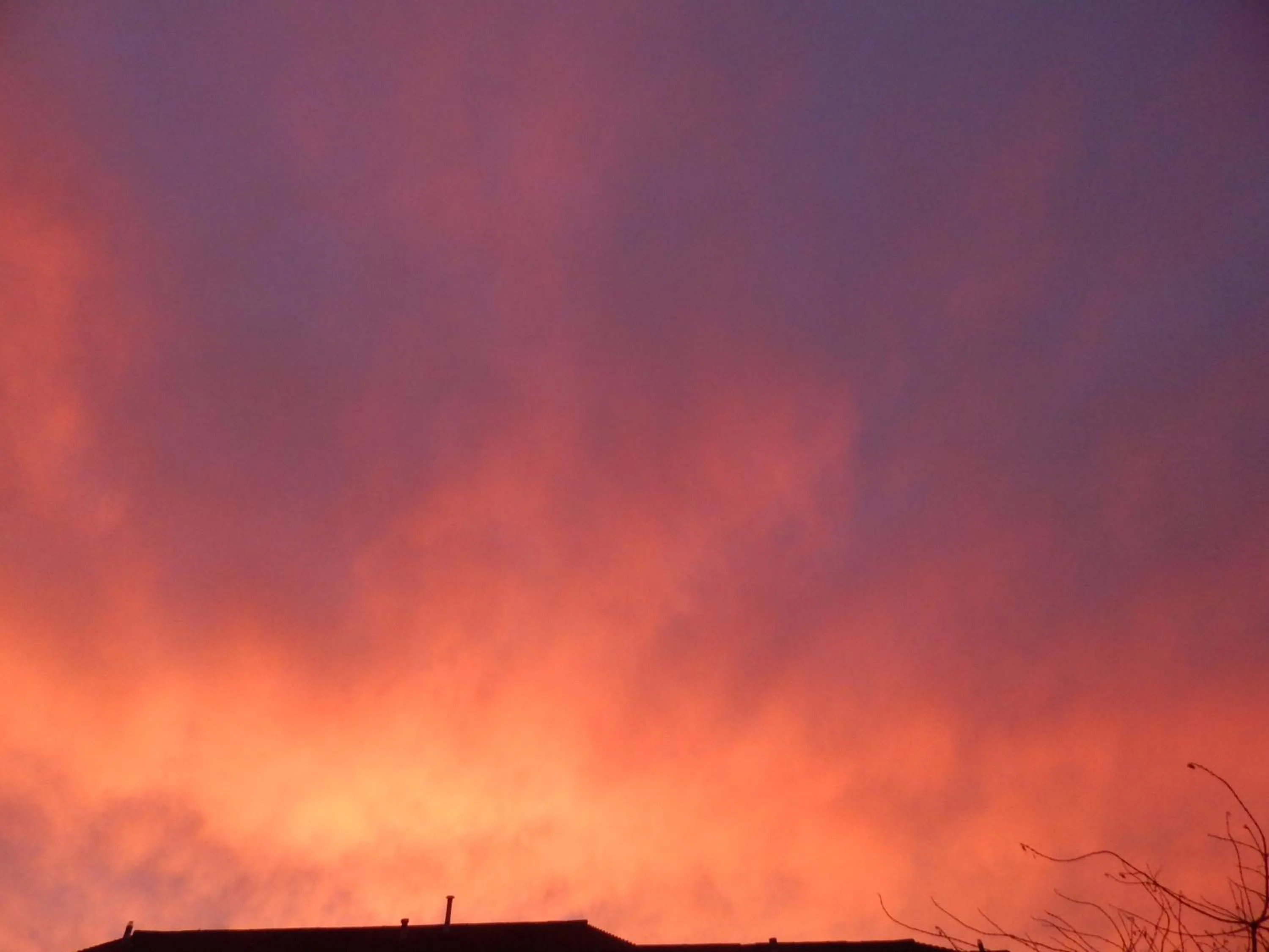 The Garfield Guest House