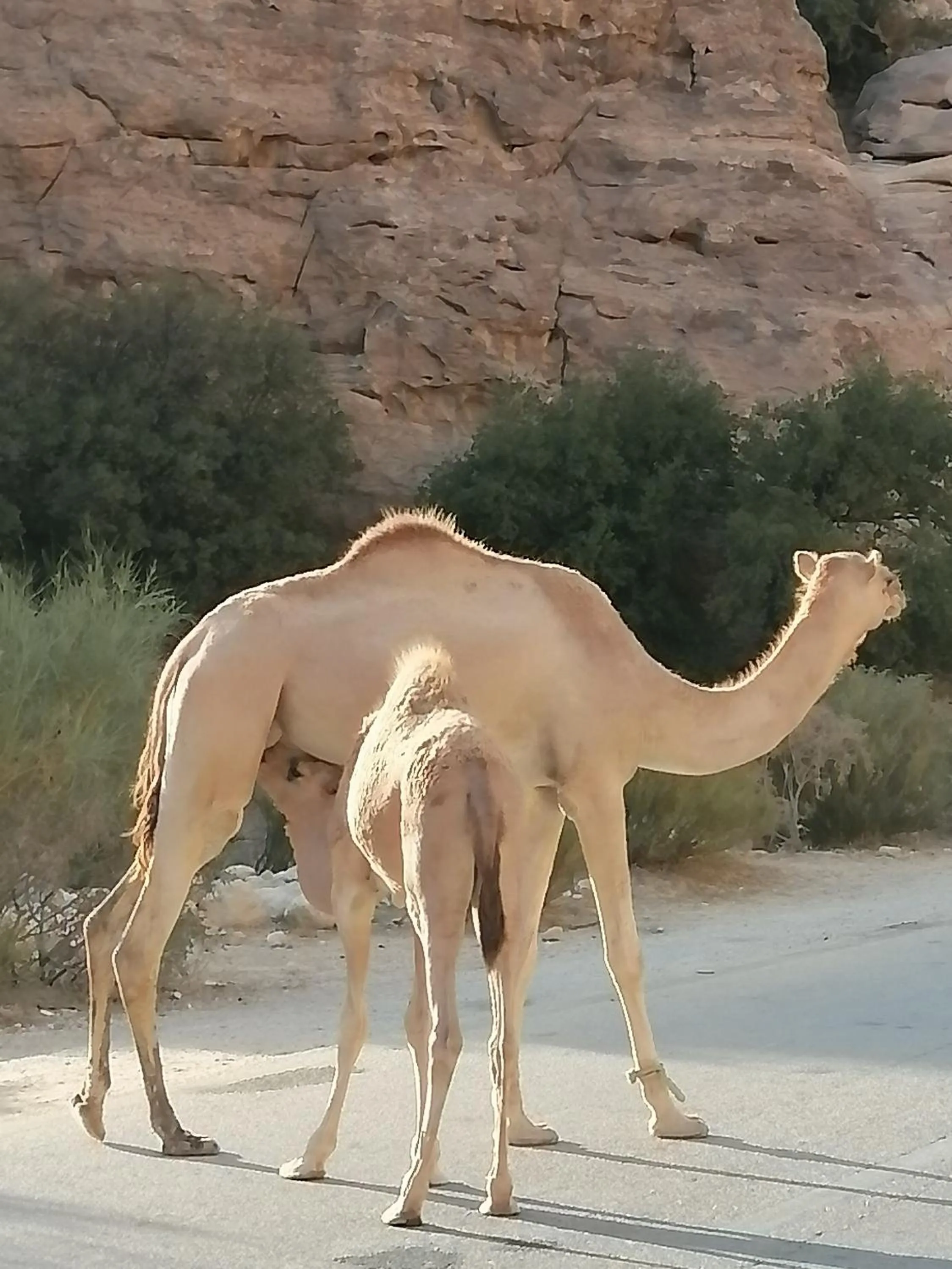 Off site in Hamoudah Hotel