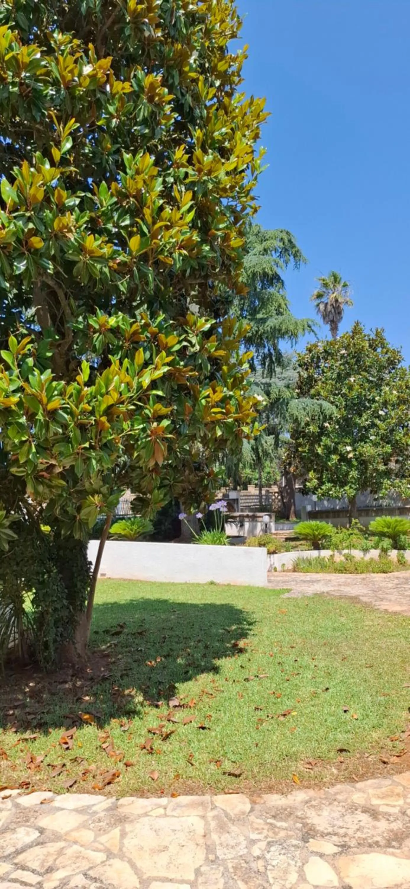 Garden in B&B Solepineta