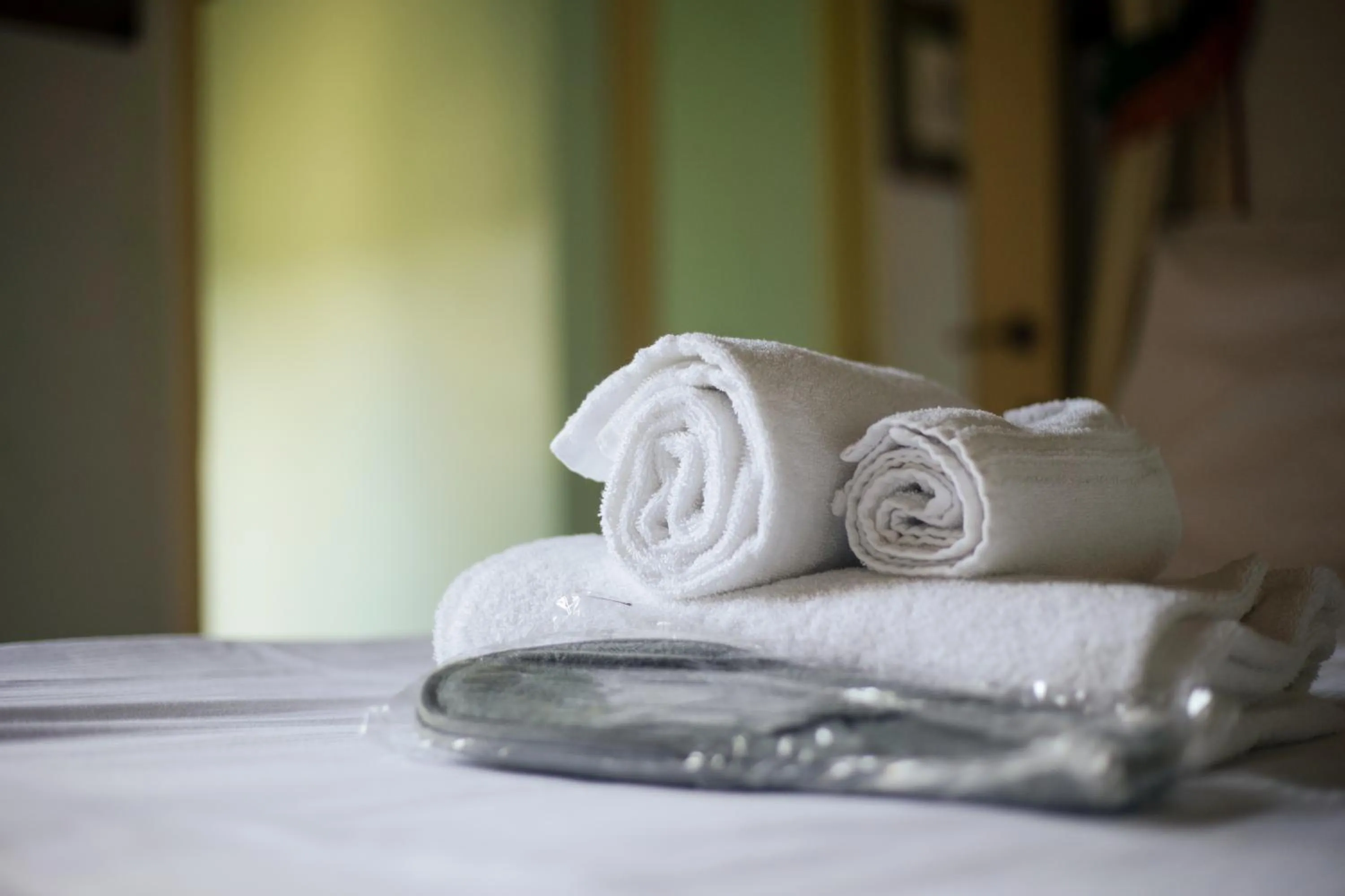 Antica Dimora Johlea