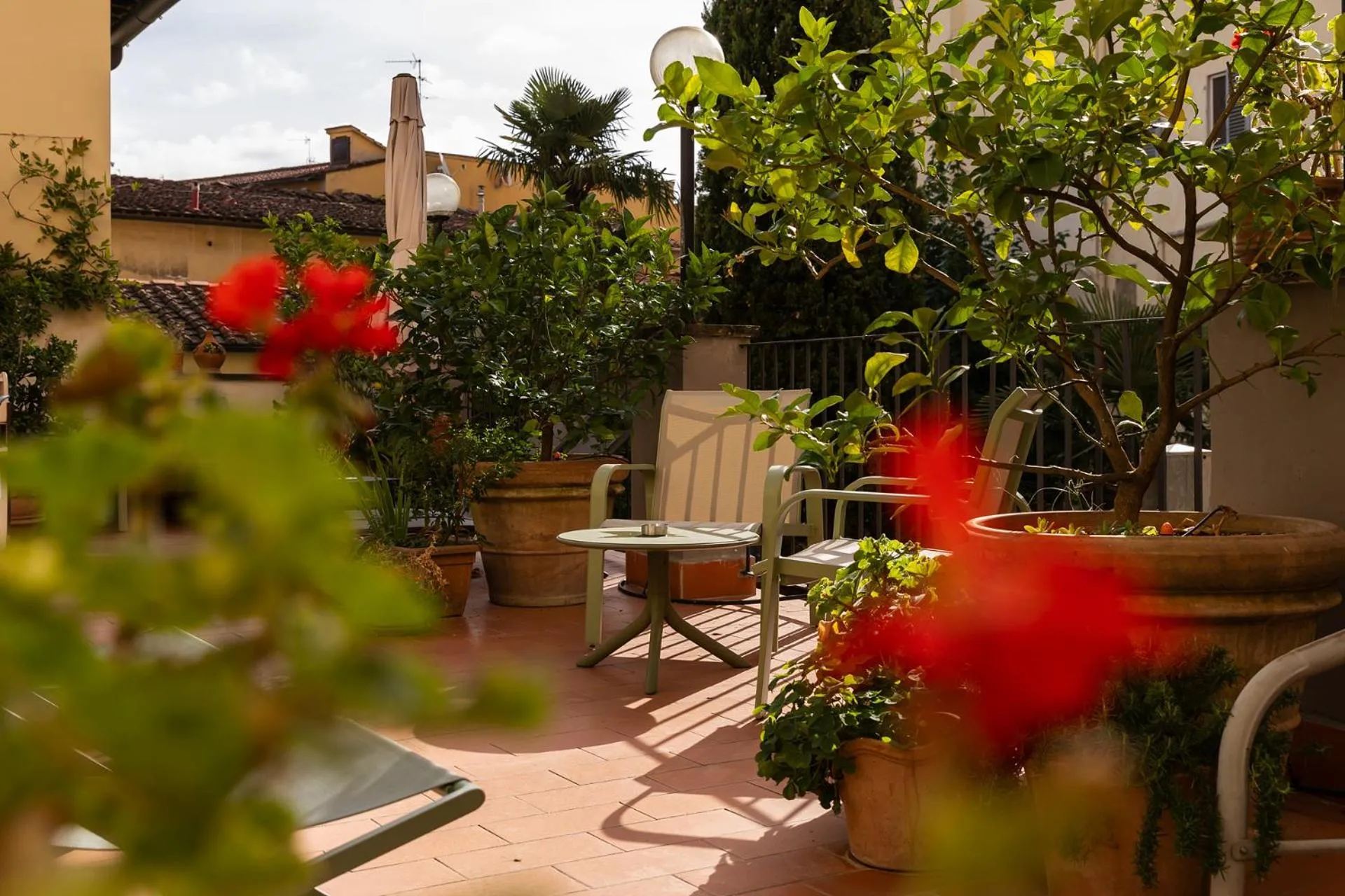 Balcony/Terrace in Hostel Archi Rossi