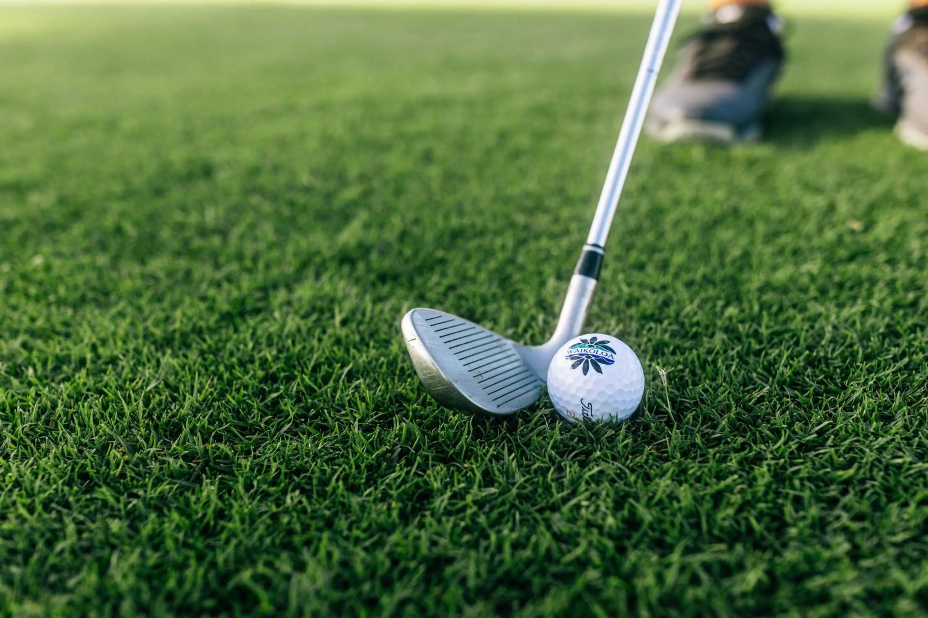 Other in Waikoloa Beach Marriott Resort & Spa