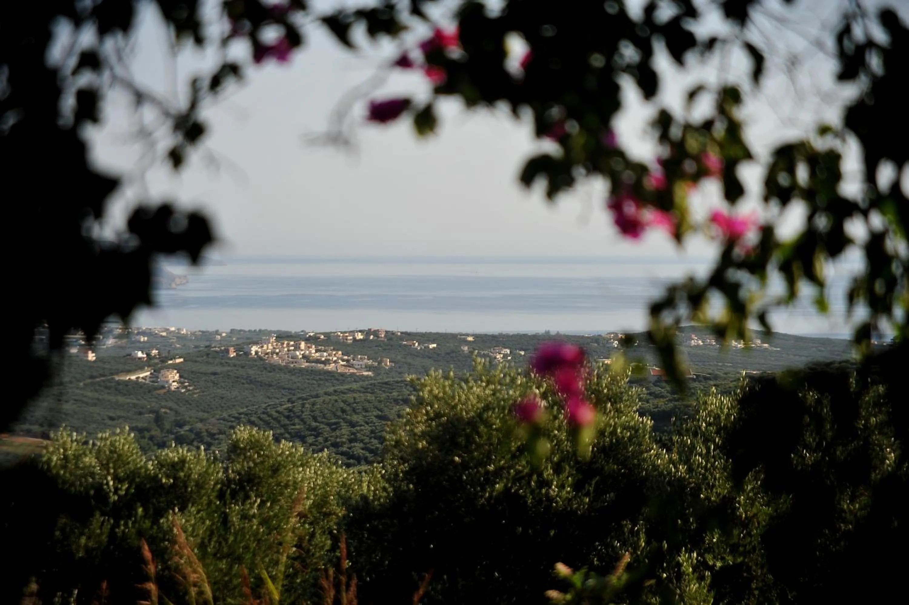 Sea view in Elia Hotel & Spa