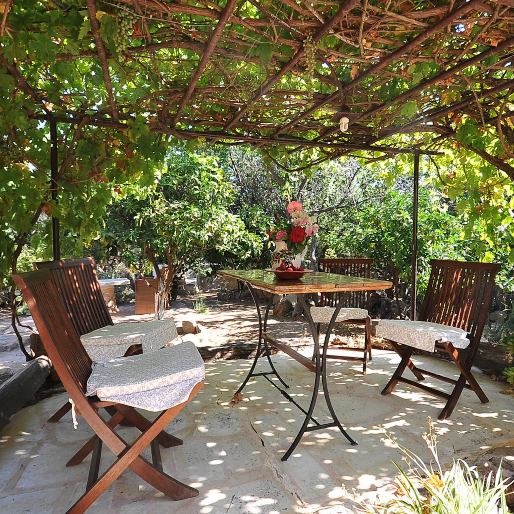 Patio in Elia Hotel & Spa