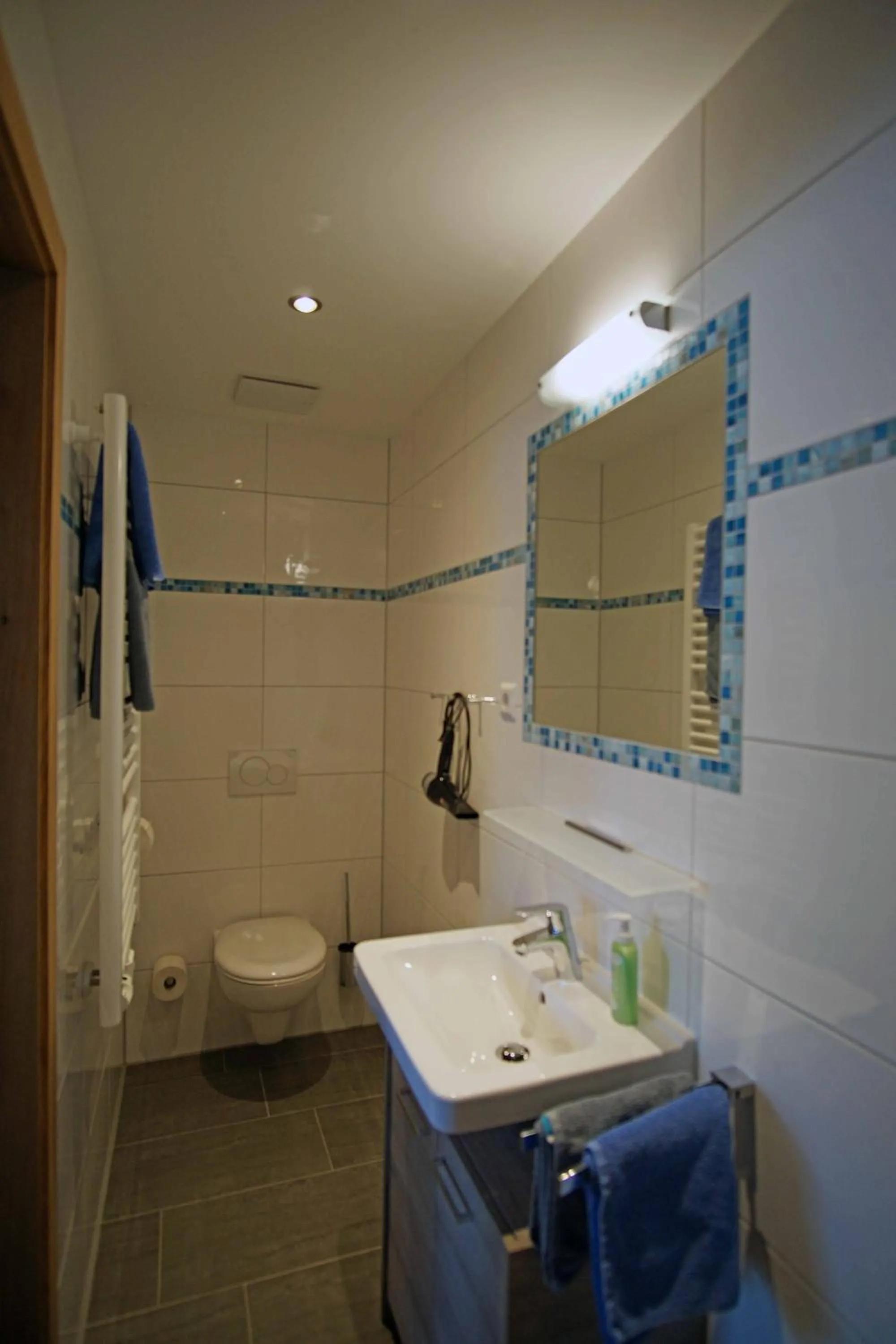 Bathroom in Haus Zauner