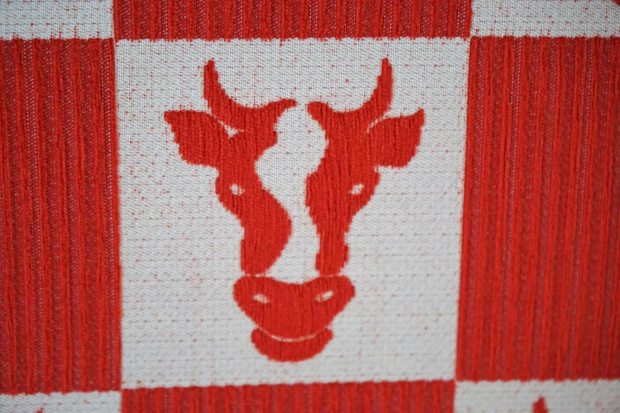 Decorative detail in Haus Zauner