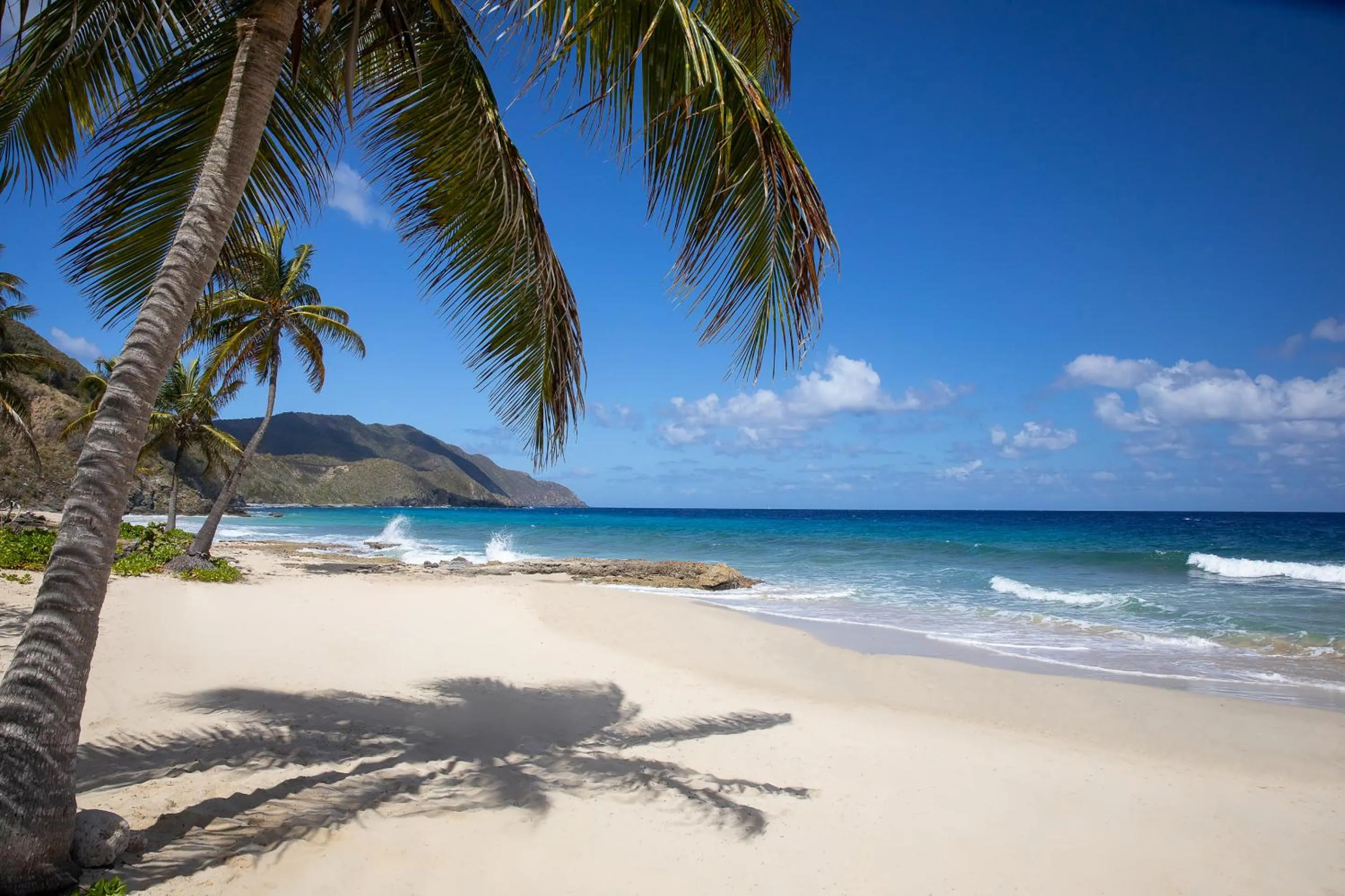 Natural landscape in Carambola Beach Resort St. Croix, US Virgin Islands