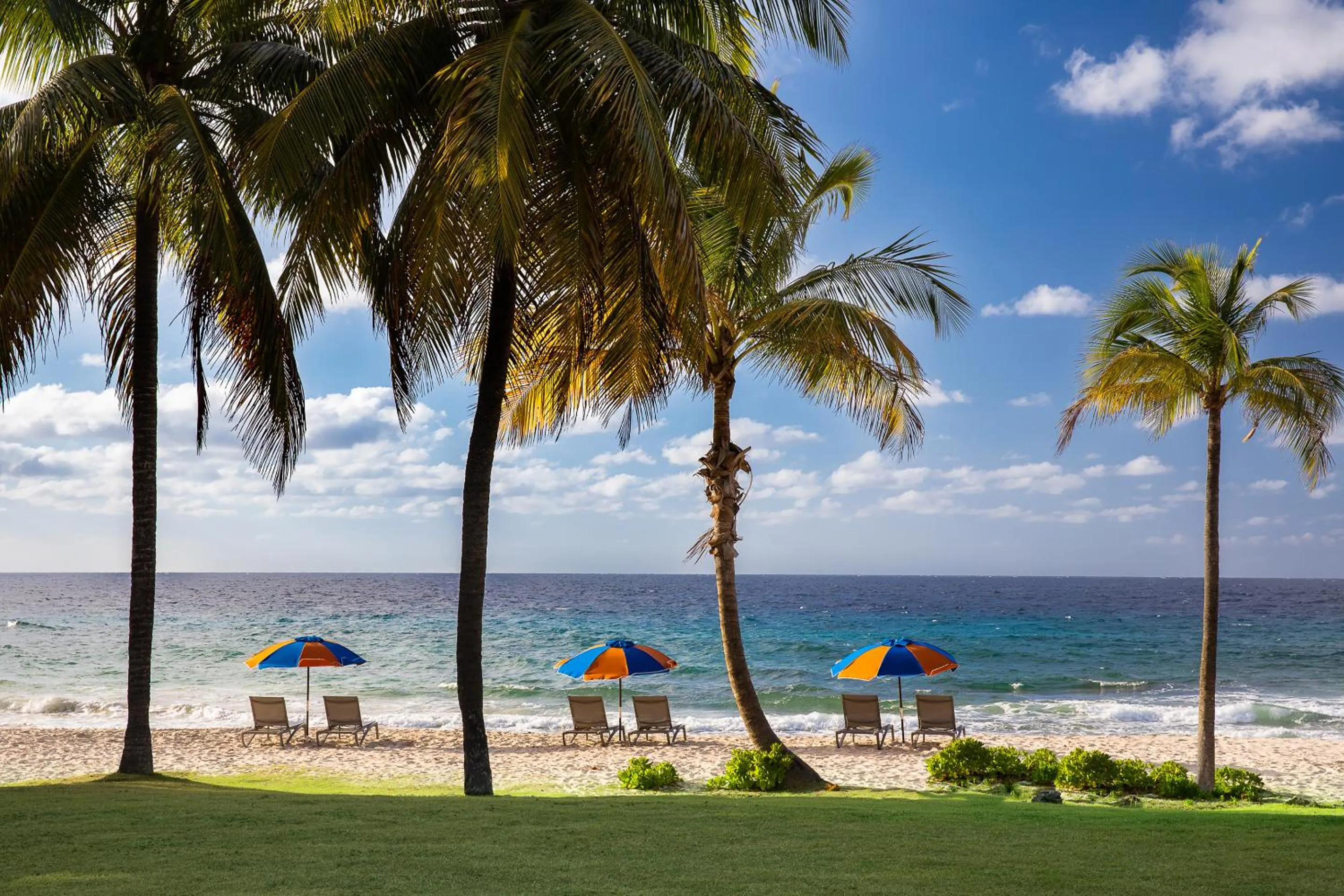 Natural landscape in Carambola Beach Resort St. Croix, US Virgin Islands