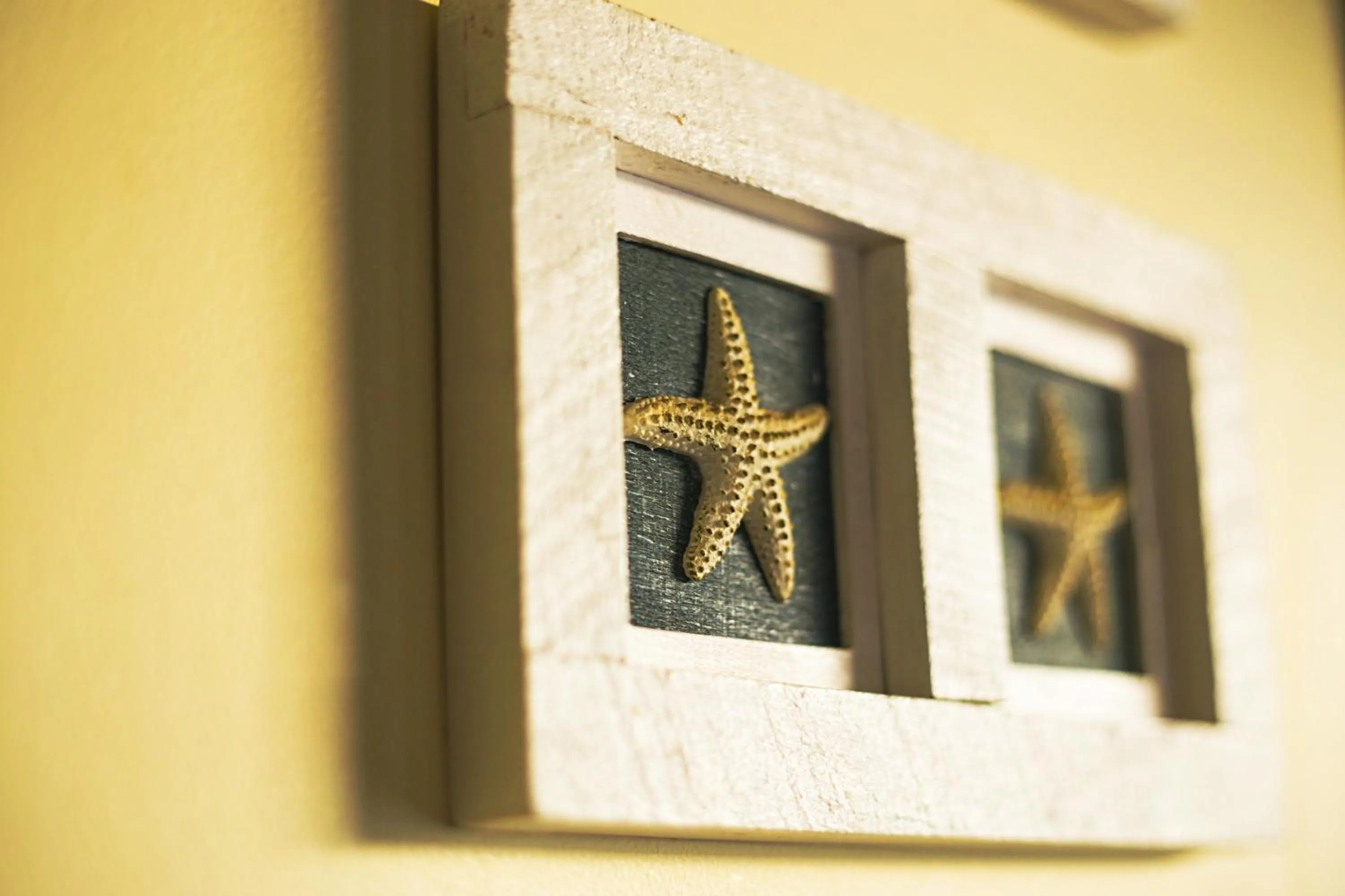 Rayville Boat Houses