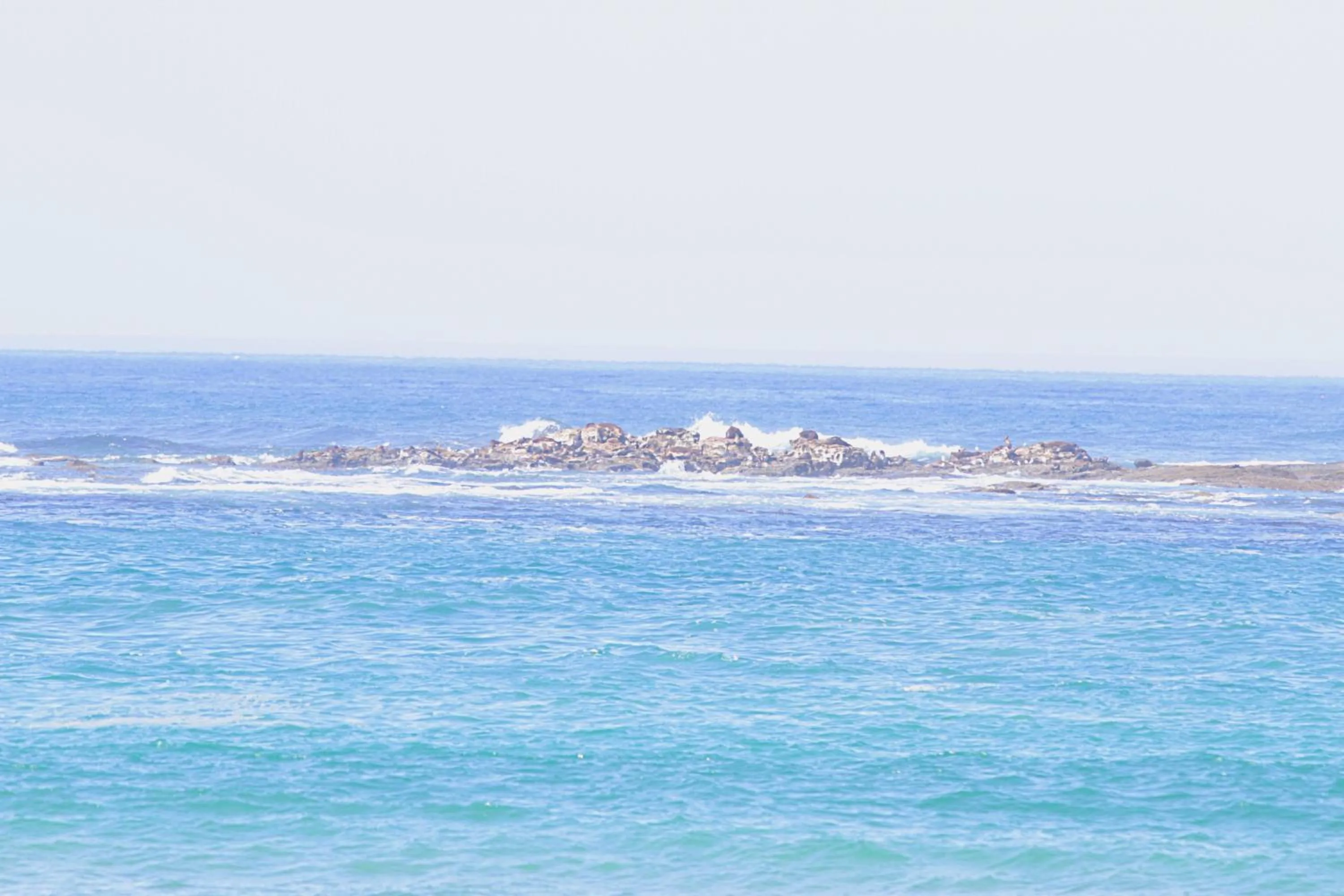 Rayville Boat Houses