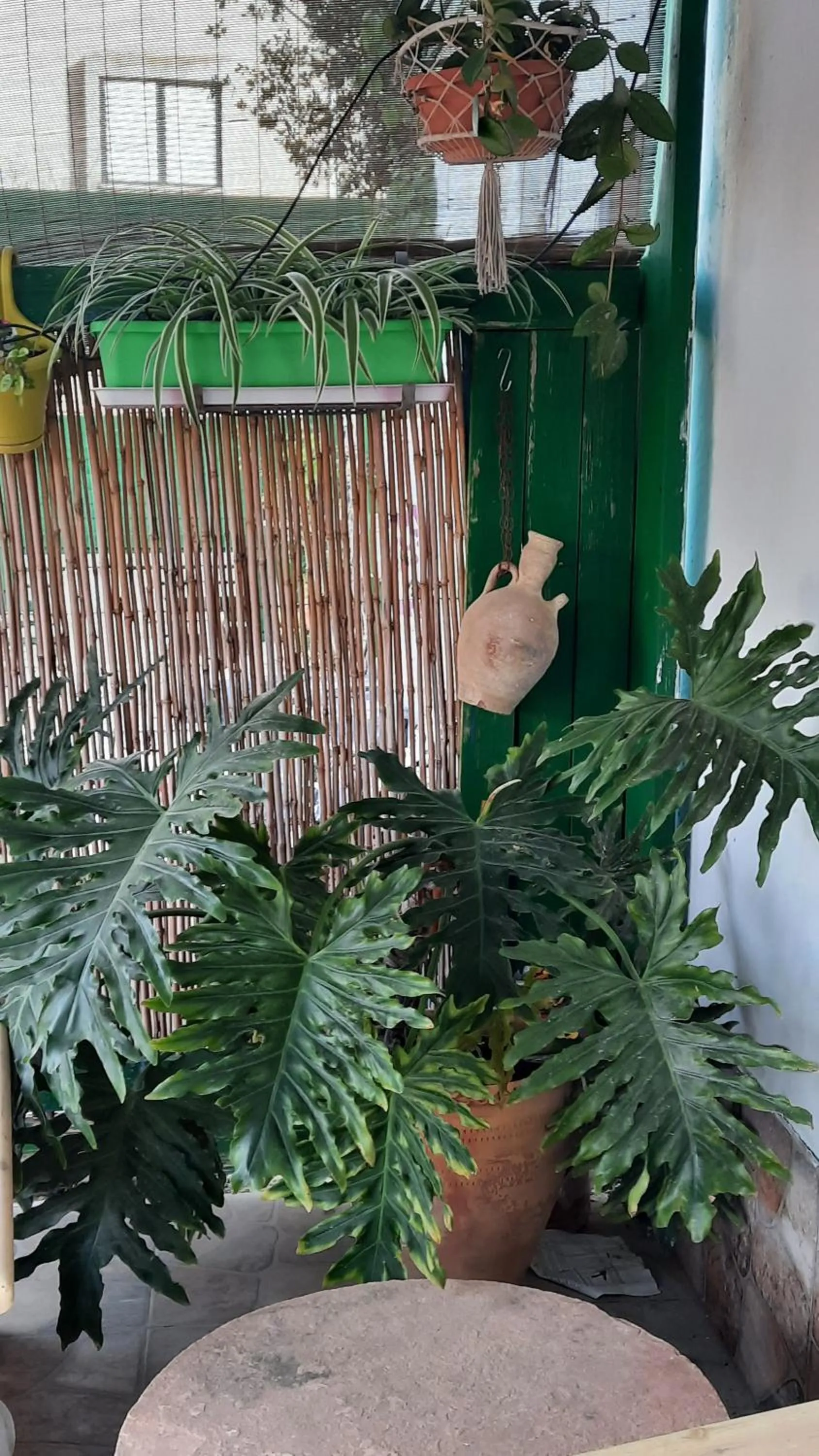 Facade/entrance in הבית הירוק - Green House