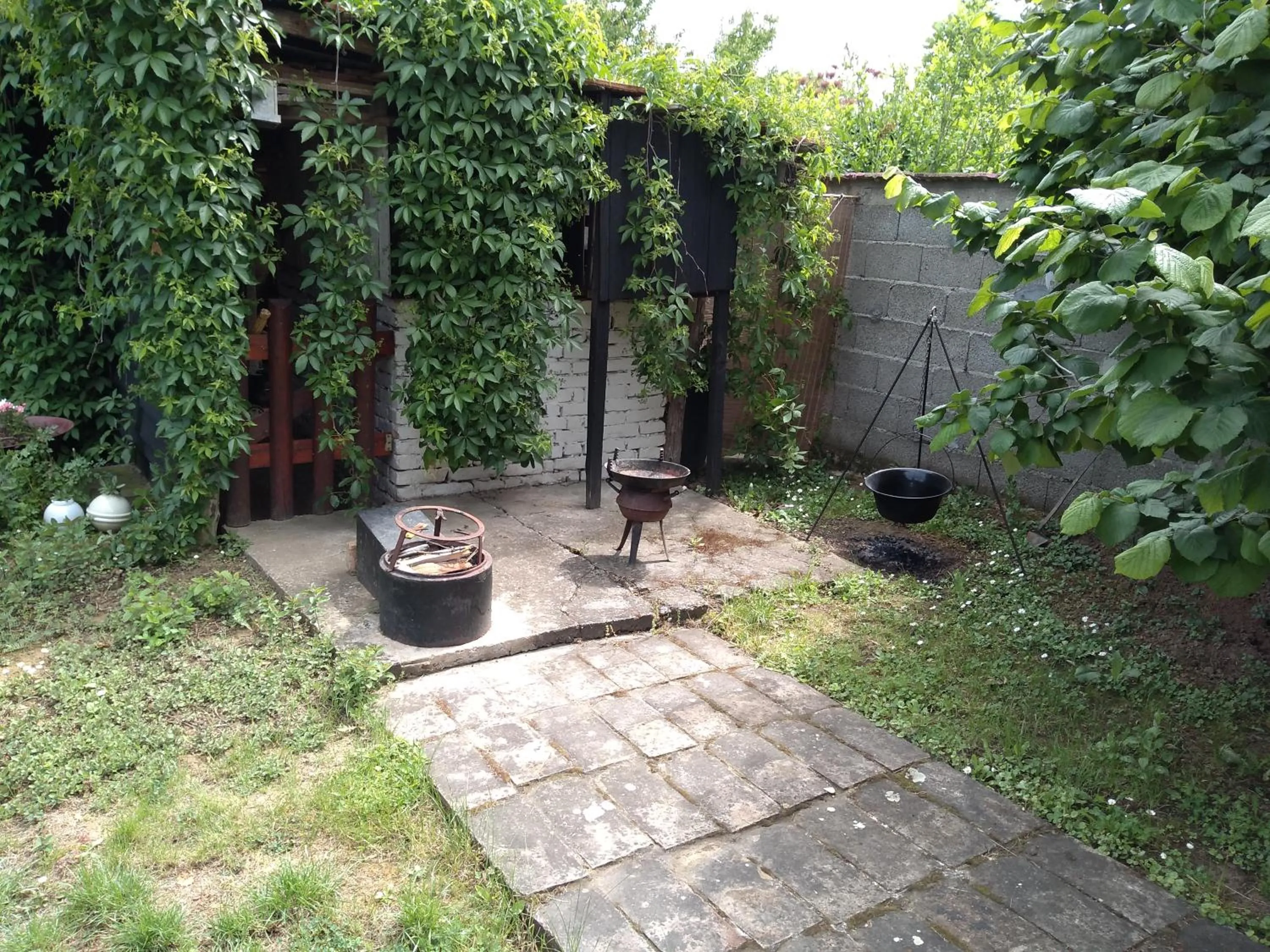 Patio in Apartments Dunja