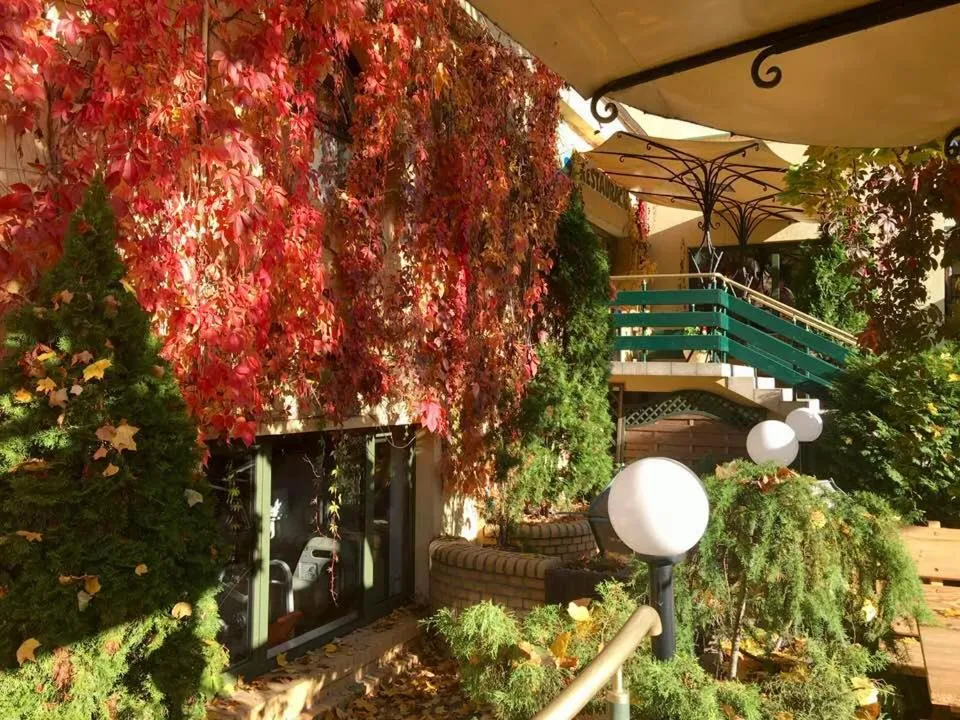 Patio in Kompleks Hotelowy Logos