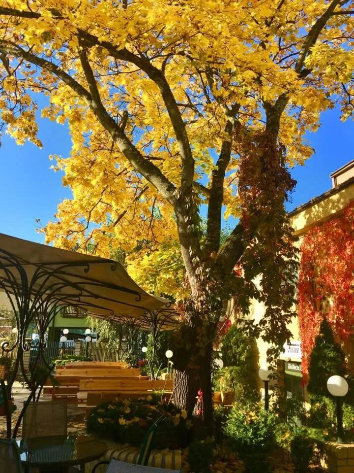 Patio in Kompleks Hotelowy Logos