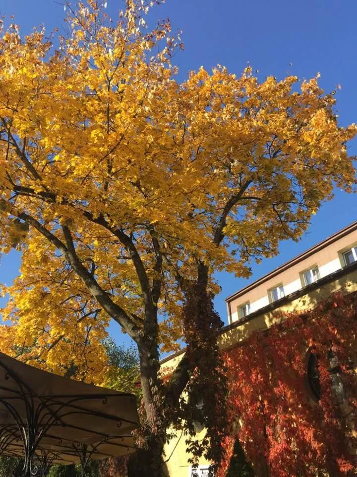 Patio in Kompleks Hotelowy Logos