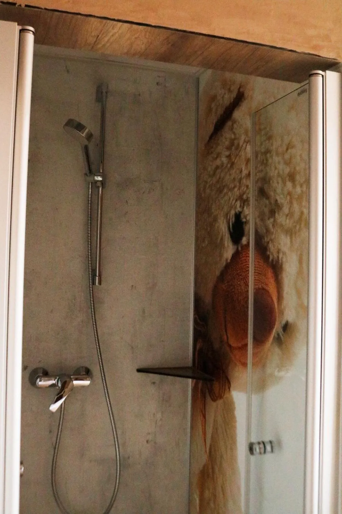 Shower in Teddybärenhotel