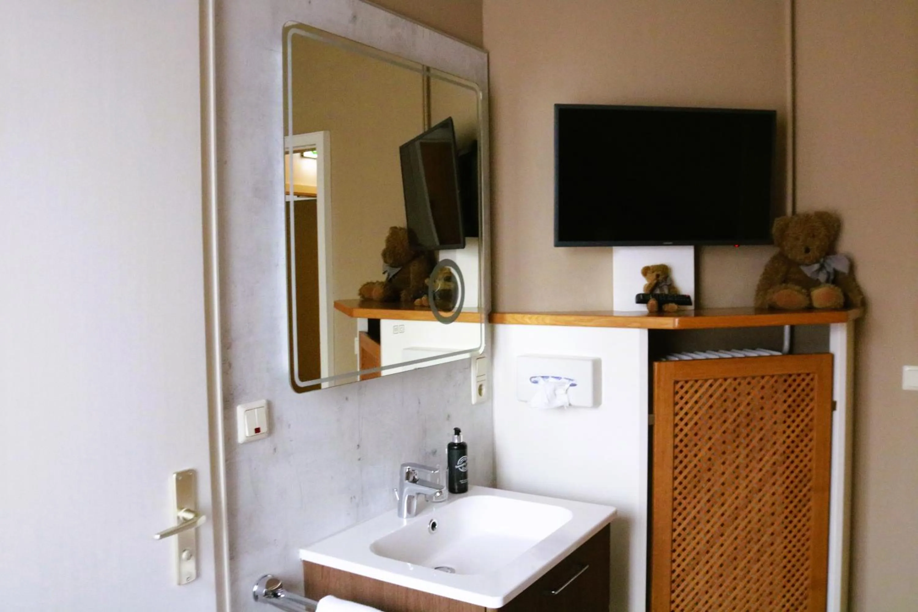 Bathroom in Teddybärenhotel