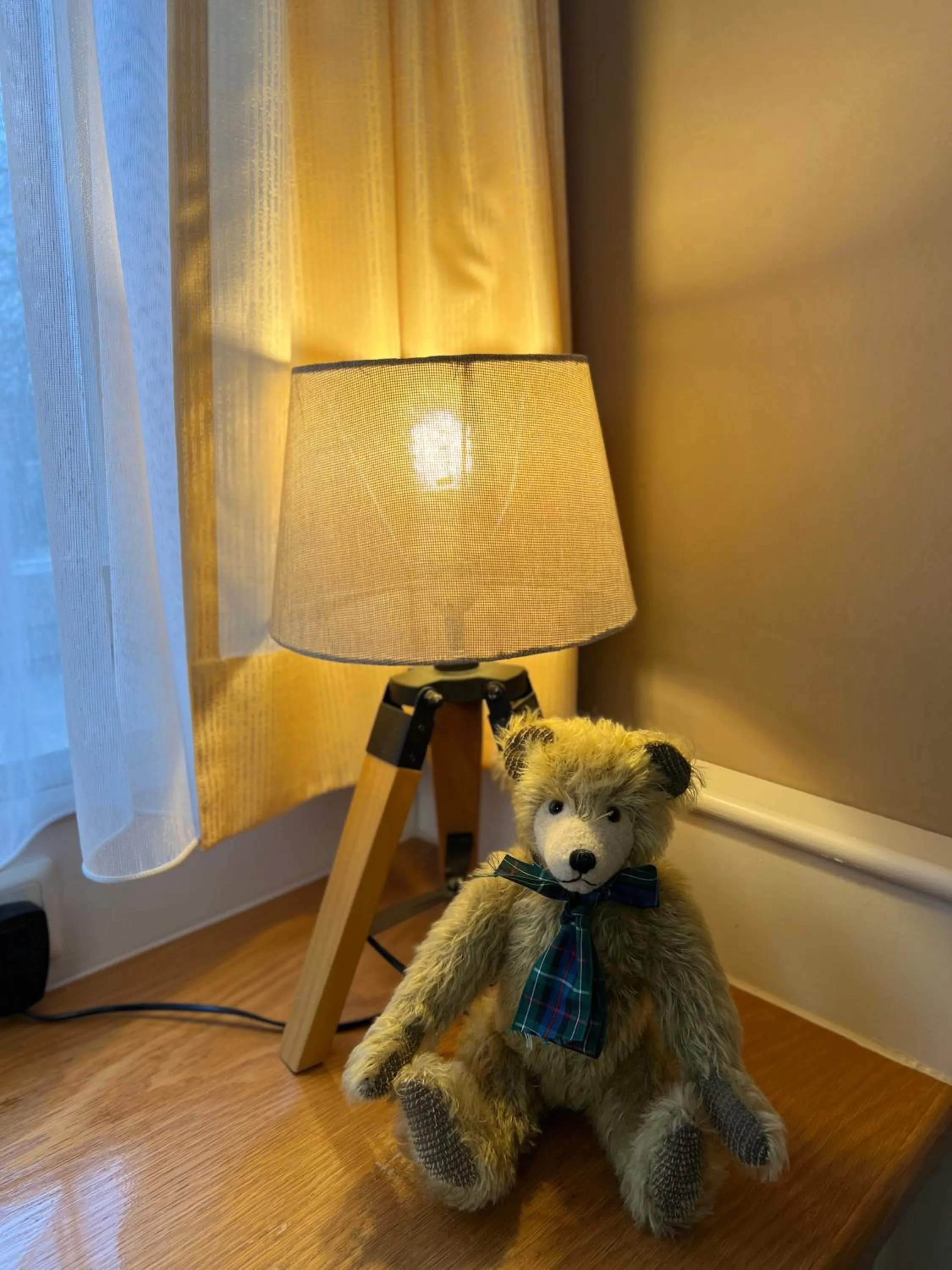 Landmark view in Teddybärenhotel