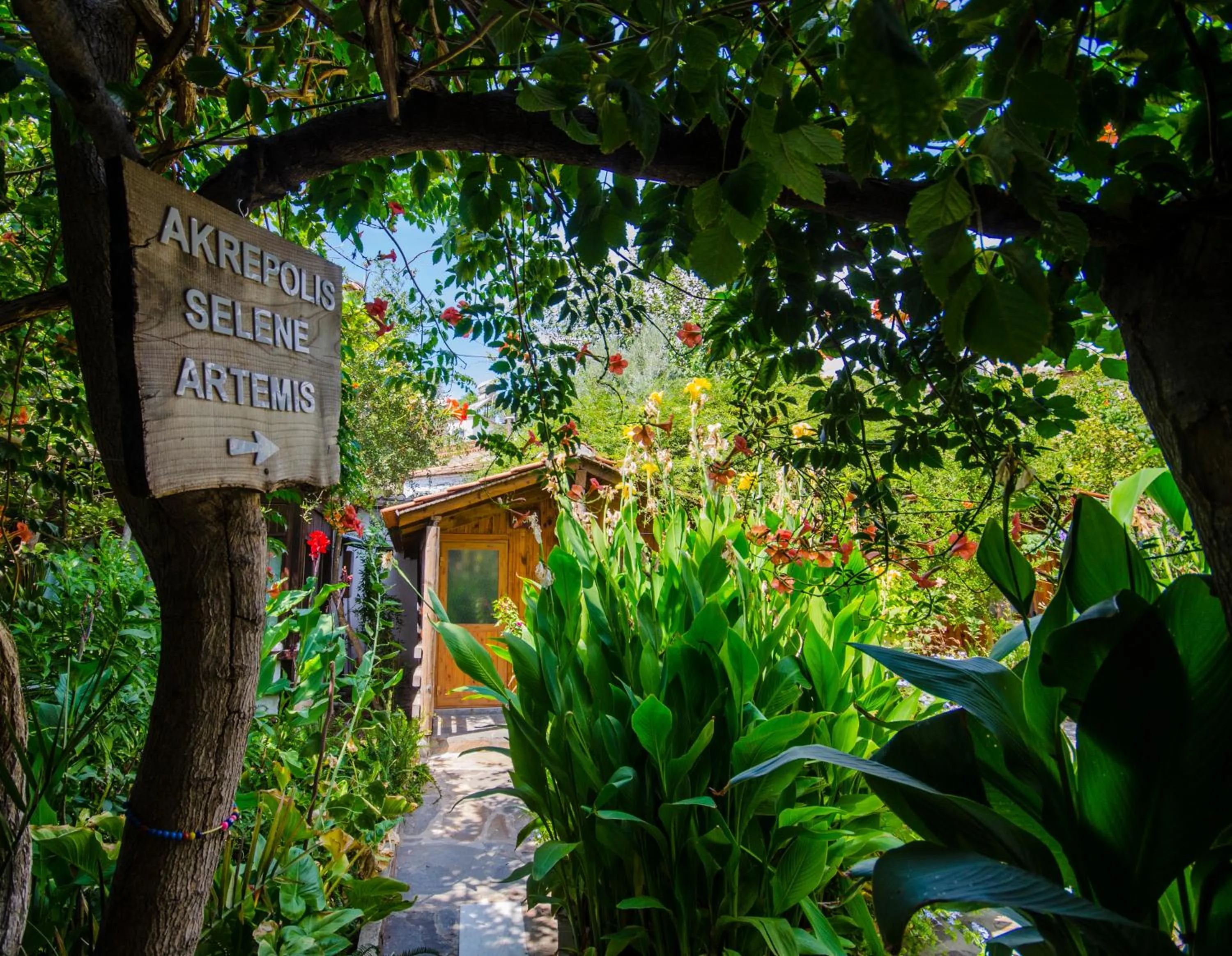 On site in Agora Pansiyon