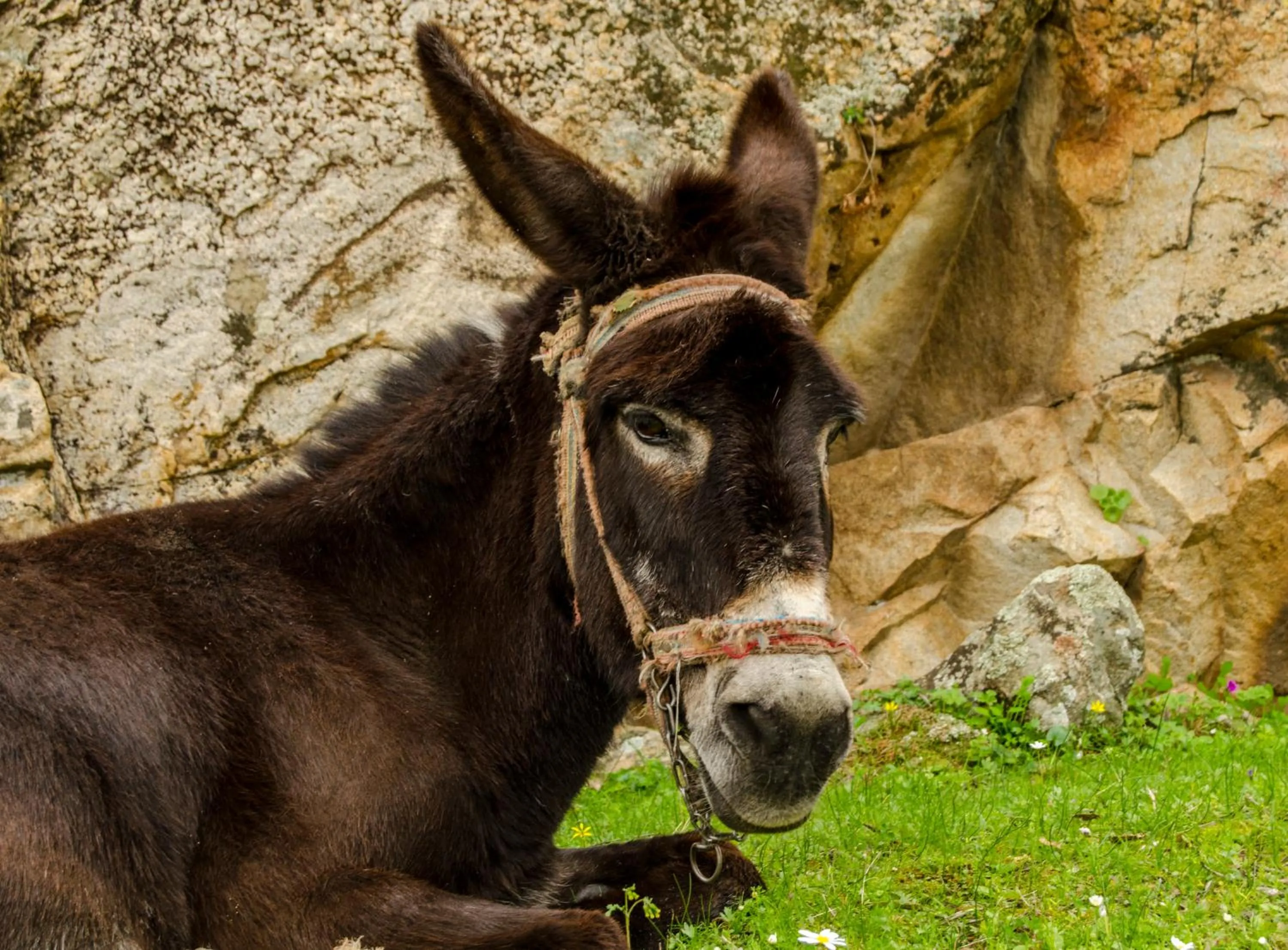 Off site in Agora Pansiyon