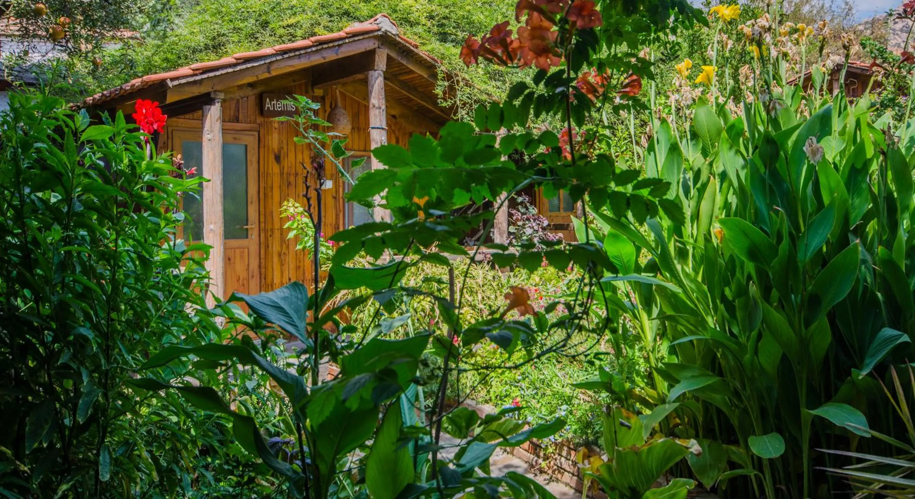 Property building in Agora Pansiyon