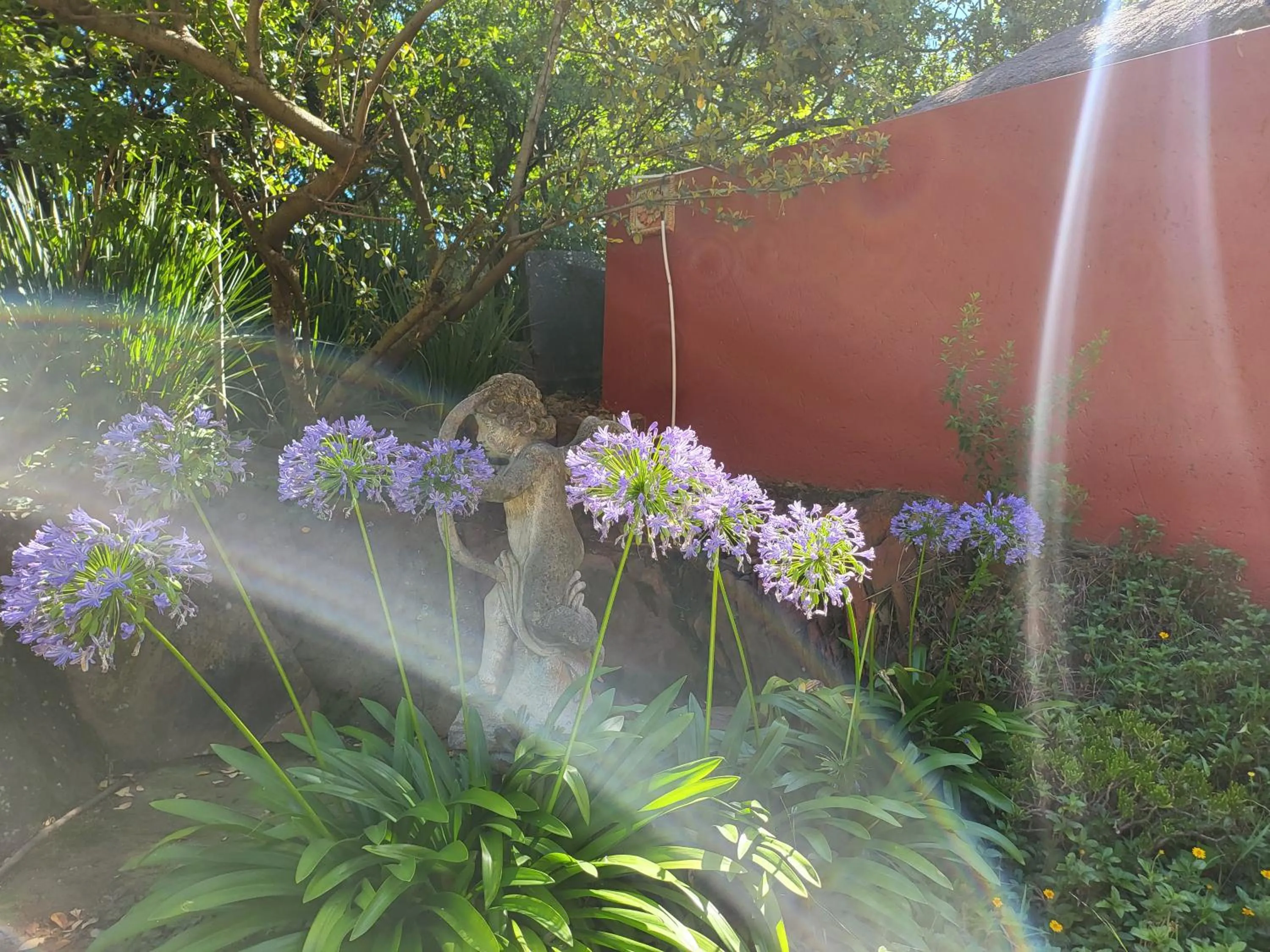 Garden in 50 Galena Affordable Luxury