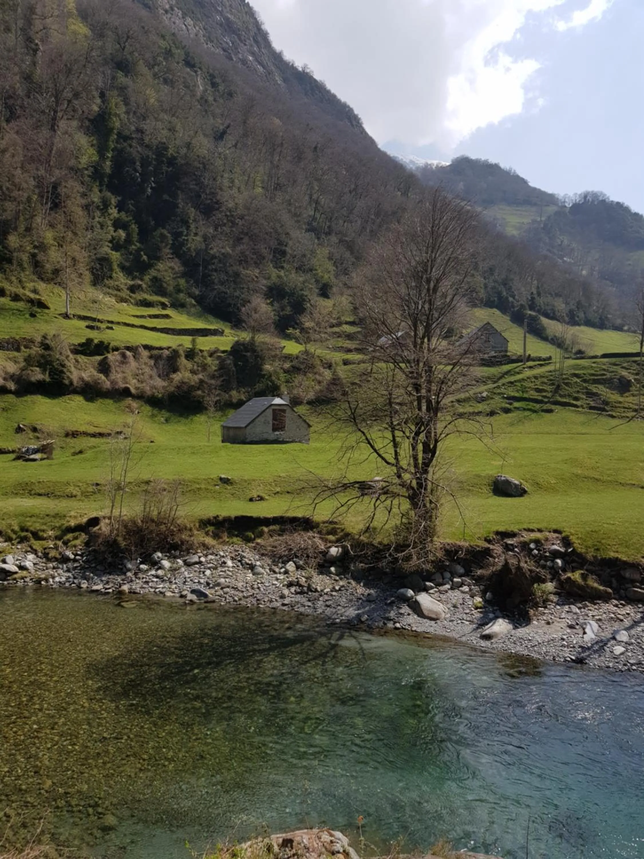 Natural landscape in Hôtel Terminus