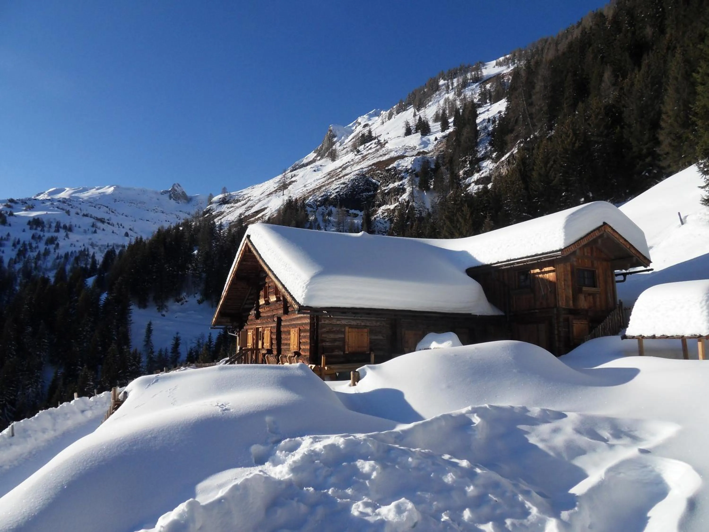 Natural landscape in Grossarler Hof Superior