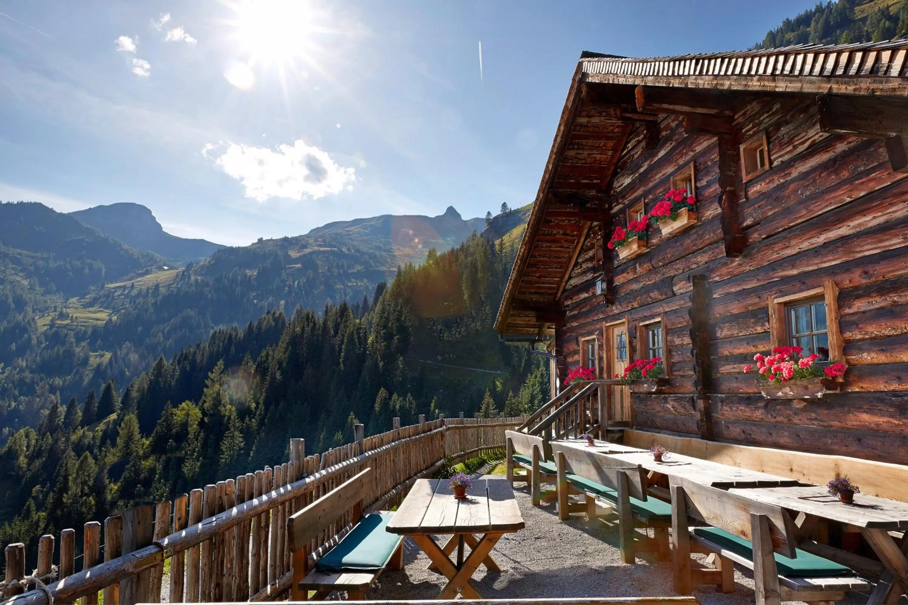 Area and facilities in Grossarler Hof Superior