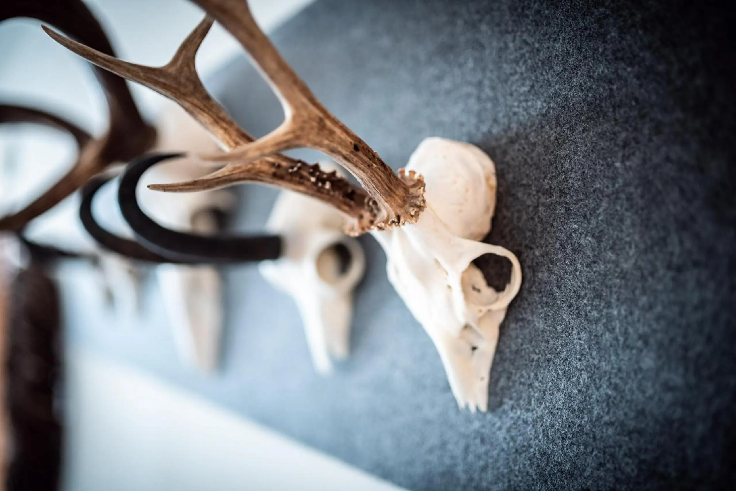 Decorative detail in Der Jagdhof