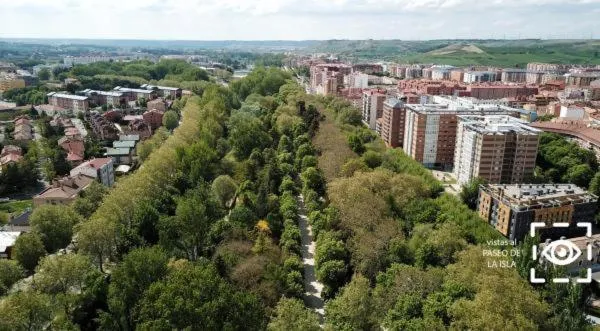Bird's eye view in Apartamentos María Luisa
