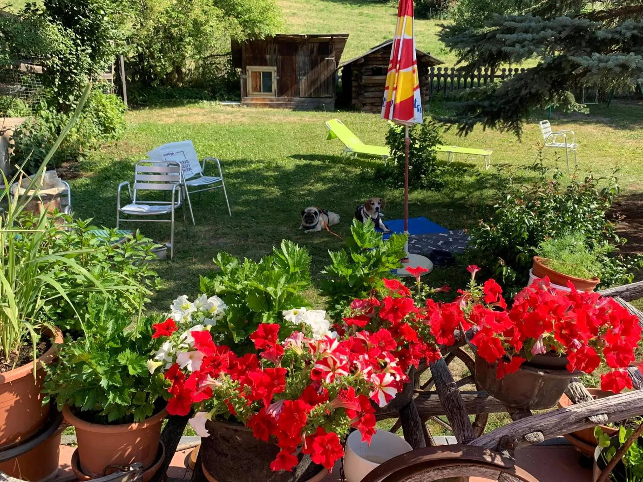 Garden in Hotel Restaurant Rätia