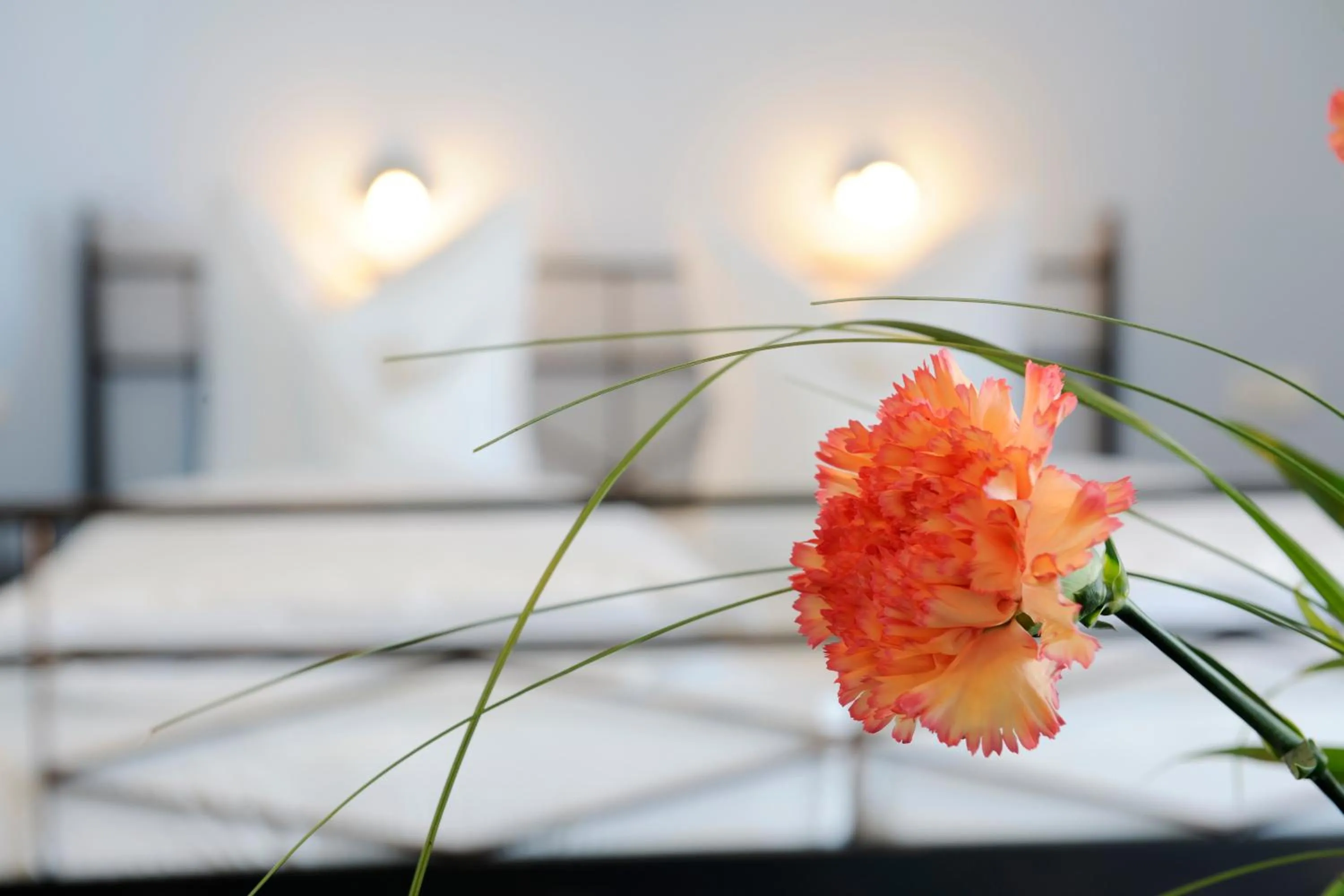 Decorative detail, Bed in Hotel Inspiration Garni