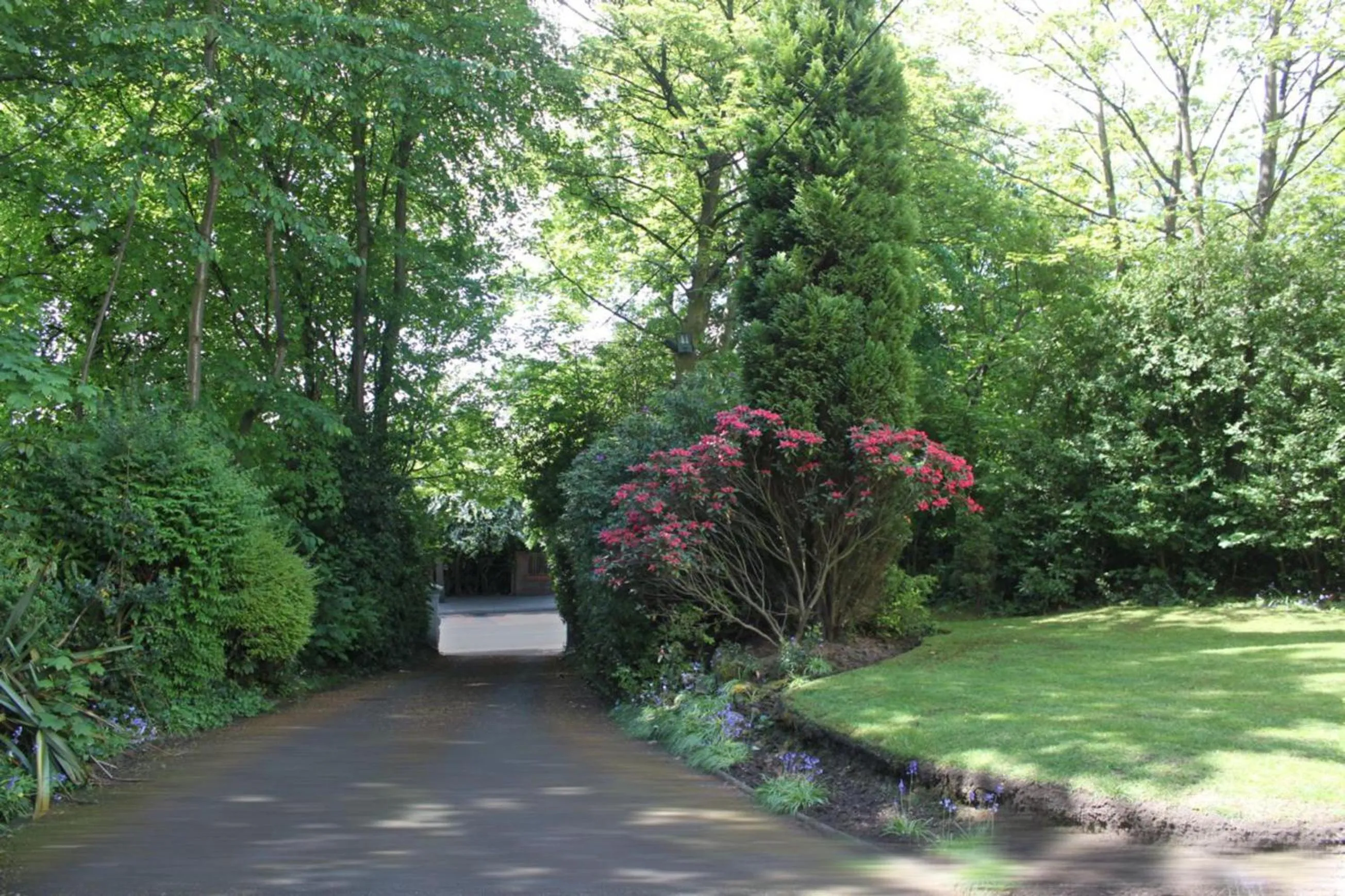 Other in La Suisse Serviced Apartments