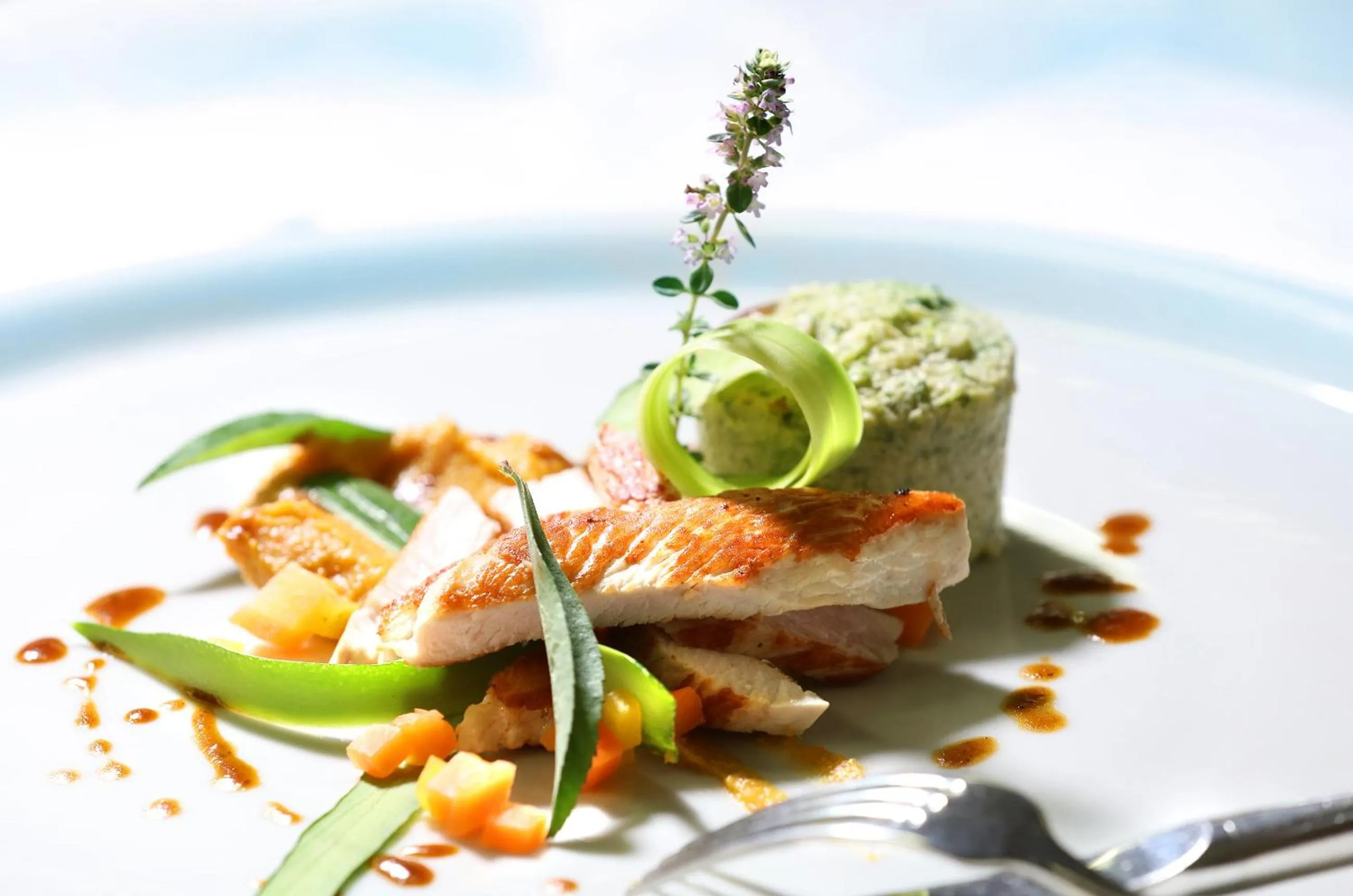 Food and drinks in Hotel Marko