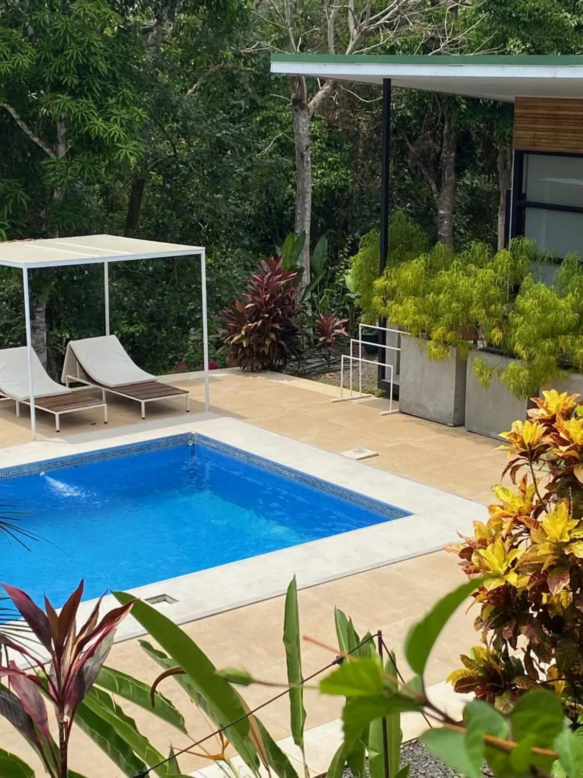 Swimming pool in Rancho Capulin B&B