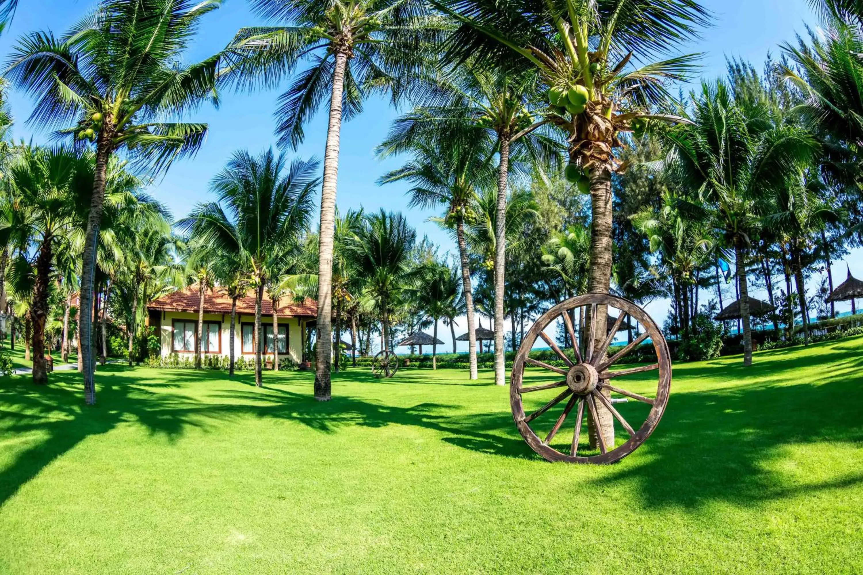 Garden in Sunny Beach Resort & Spa Mui Ne