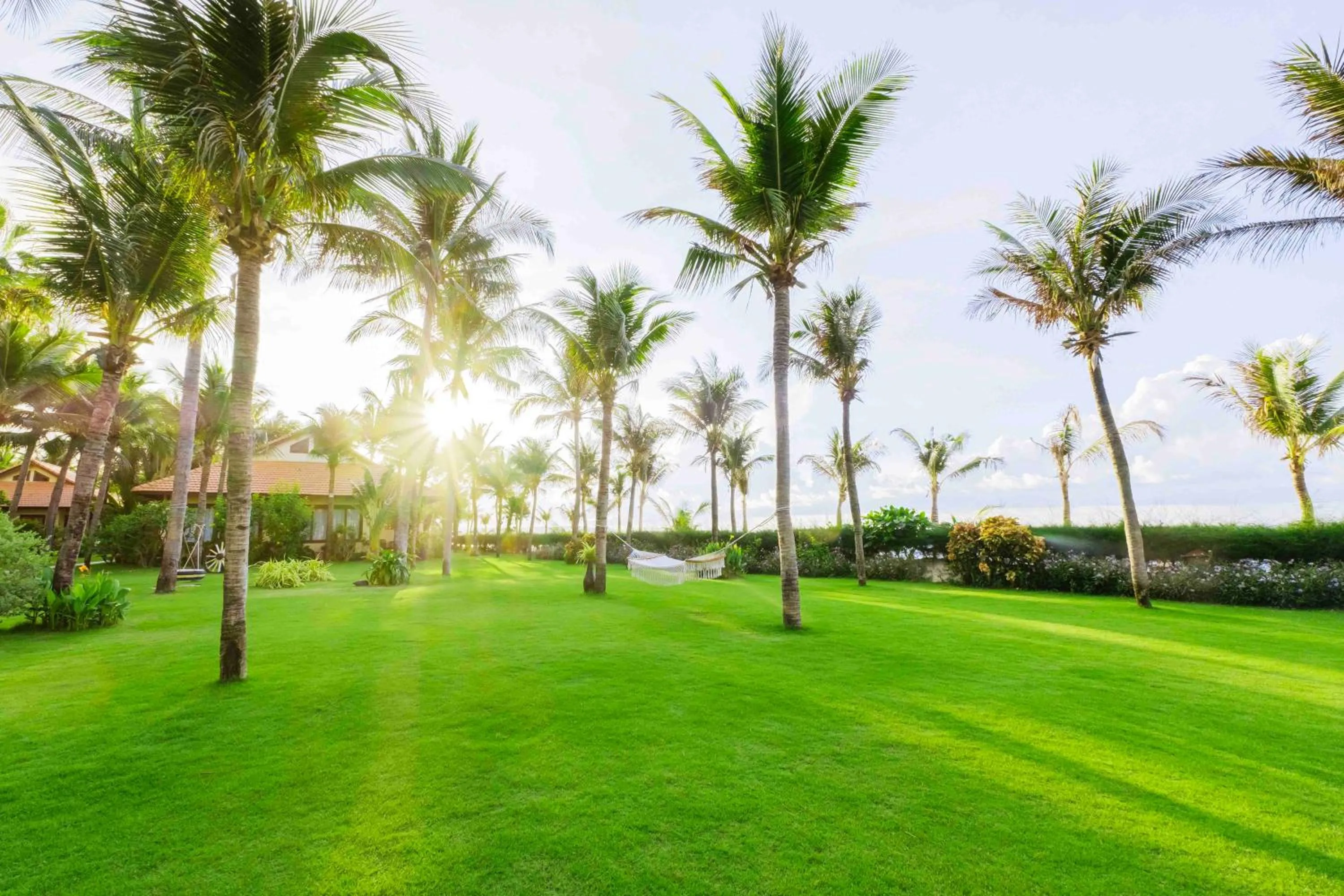 Garden in Sunny Beach Resort & Spa Mui Ne