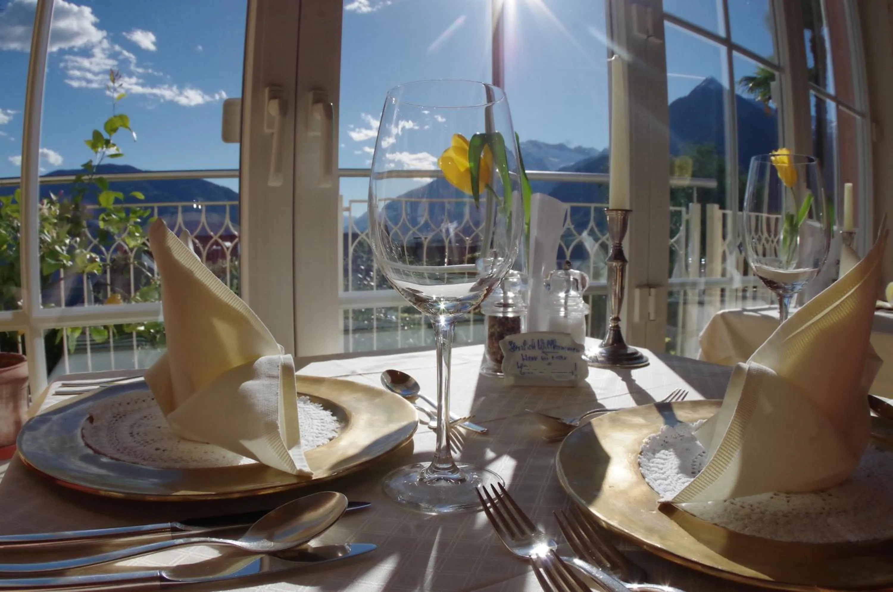 Garden in Hotel Bergland