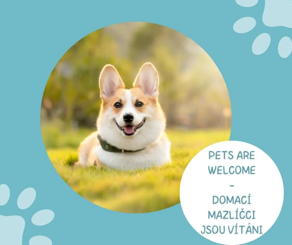 Pets in Hotel Tři Růže